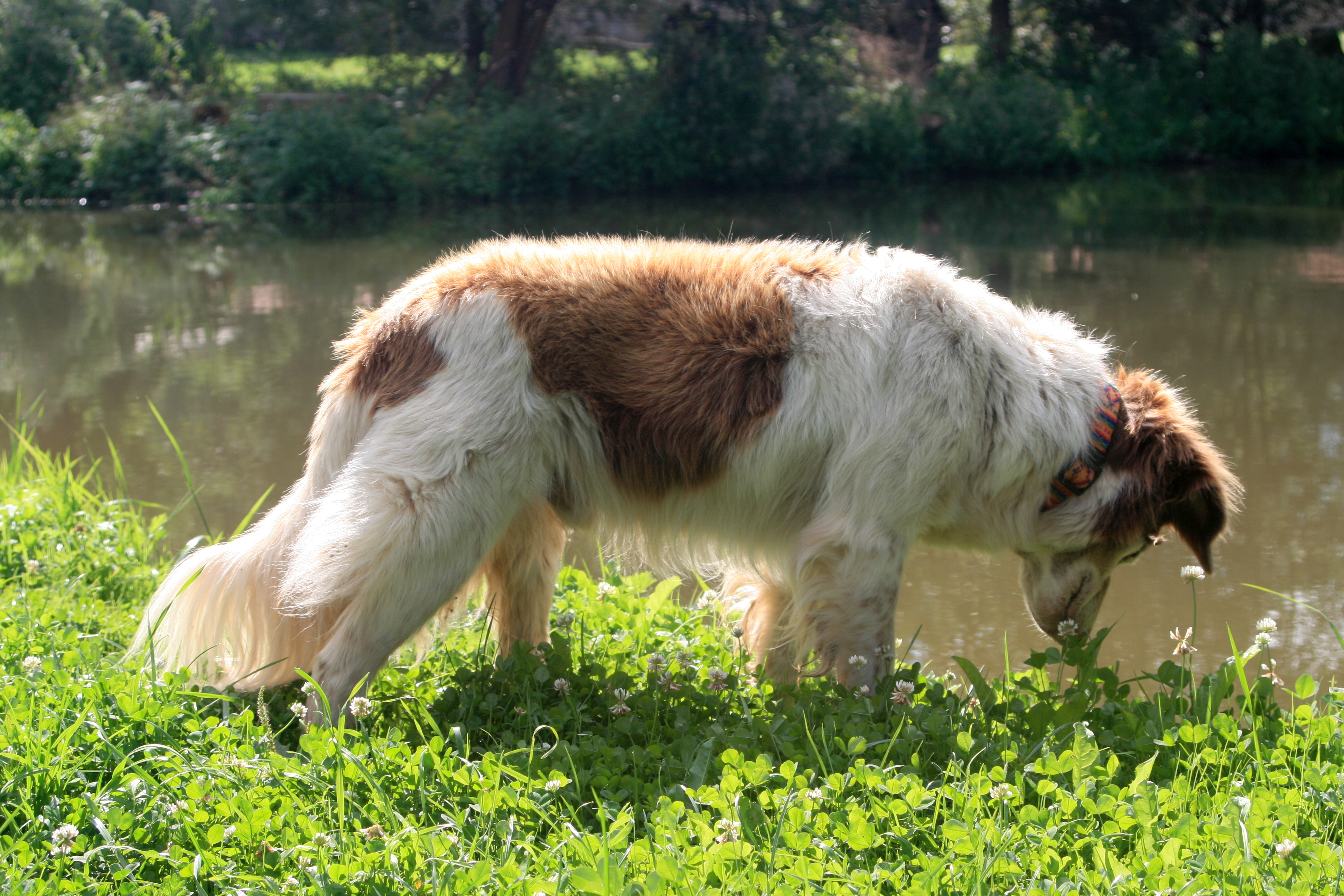 20100822094341.jpg