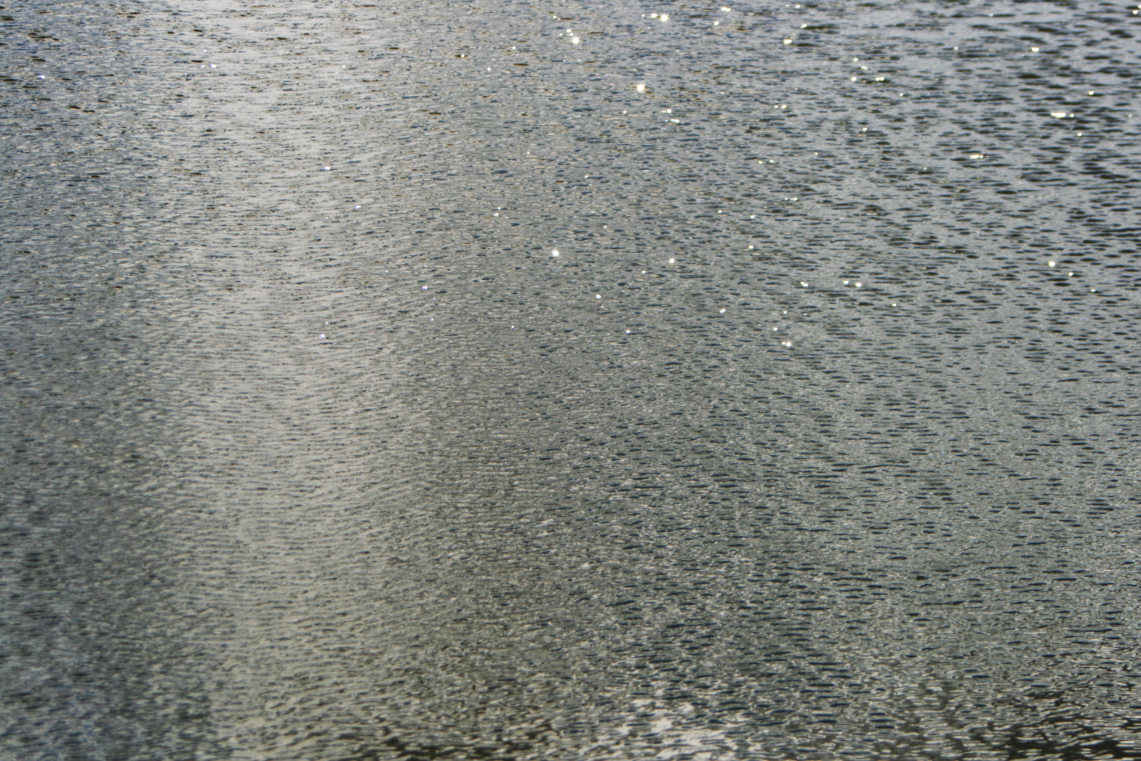 20100831114006.jpg