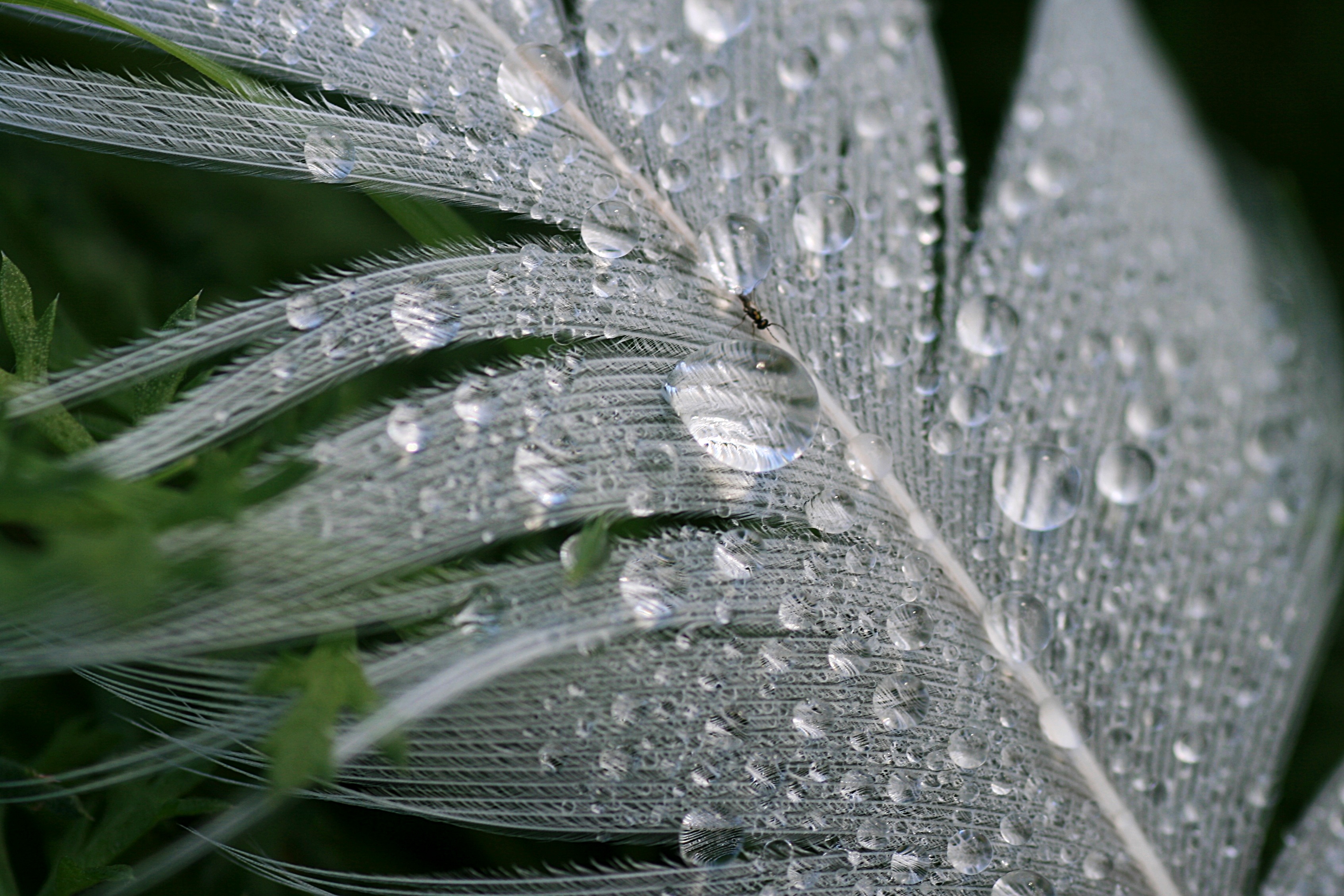 20100831114528.jpg