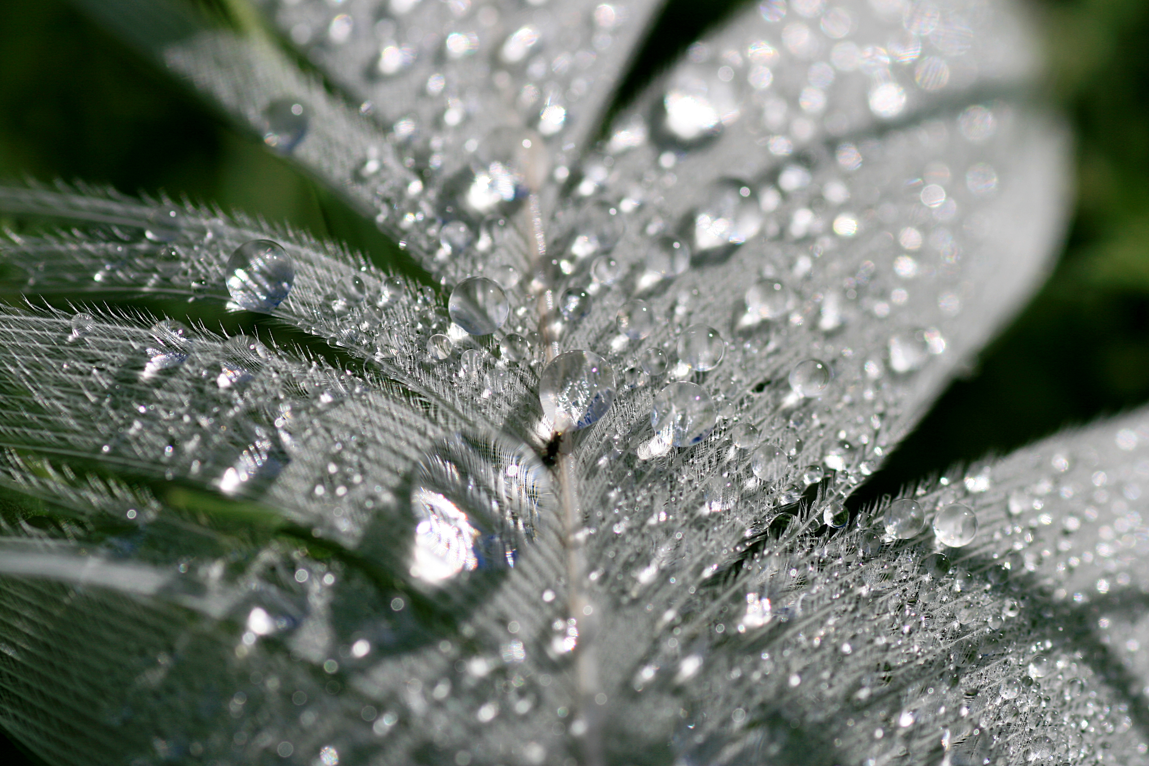 20100831114550.jpg