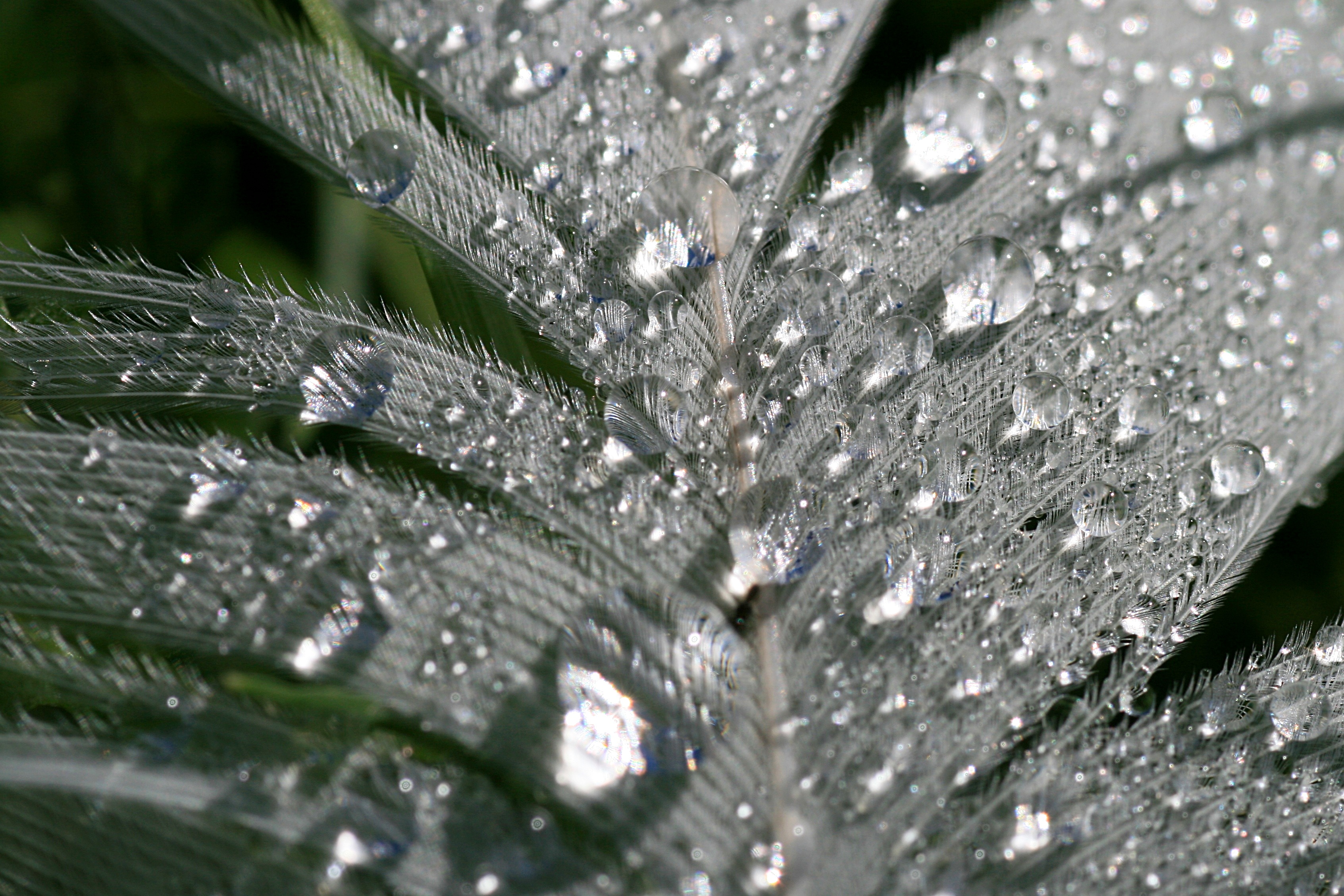 20100831114558.jpg