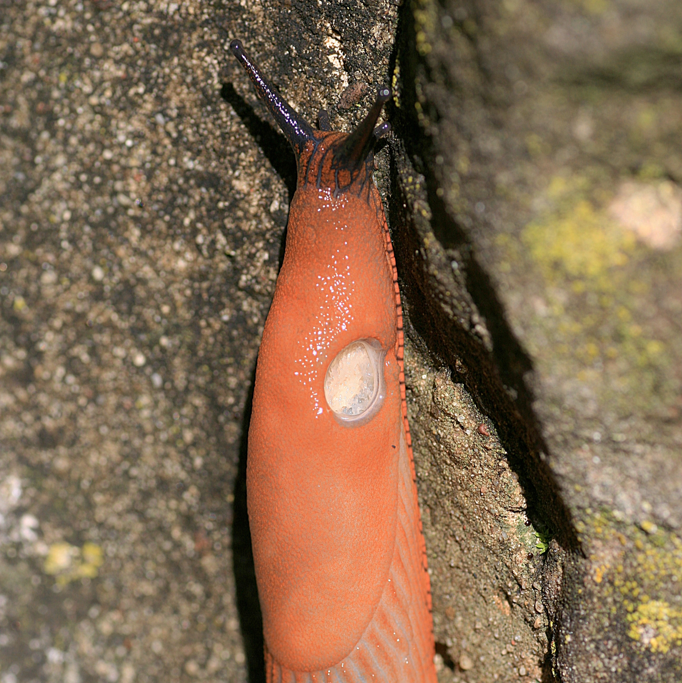 20100904103949.jpg