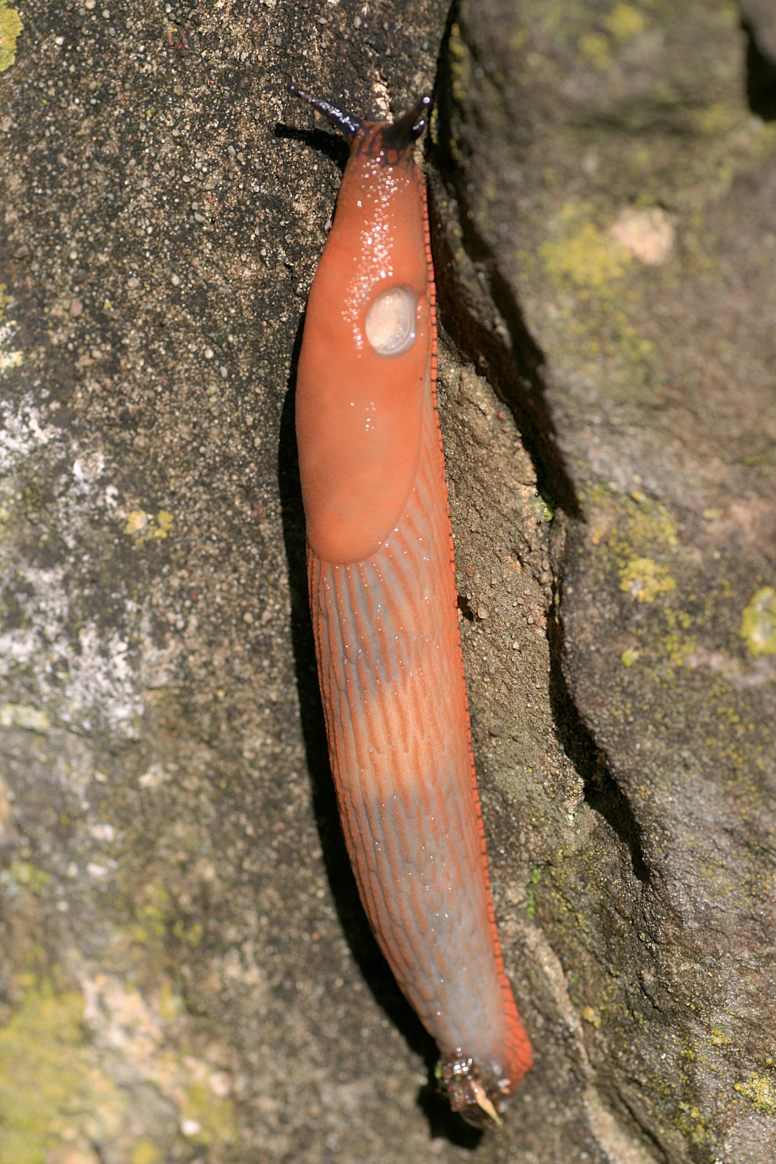 20100904103953.jpg