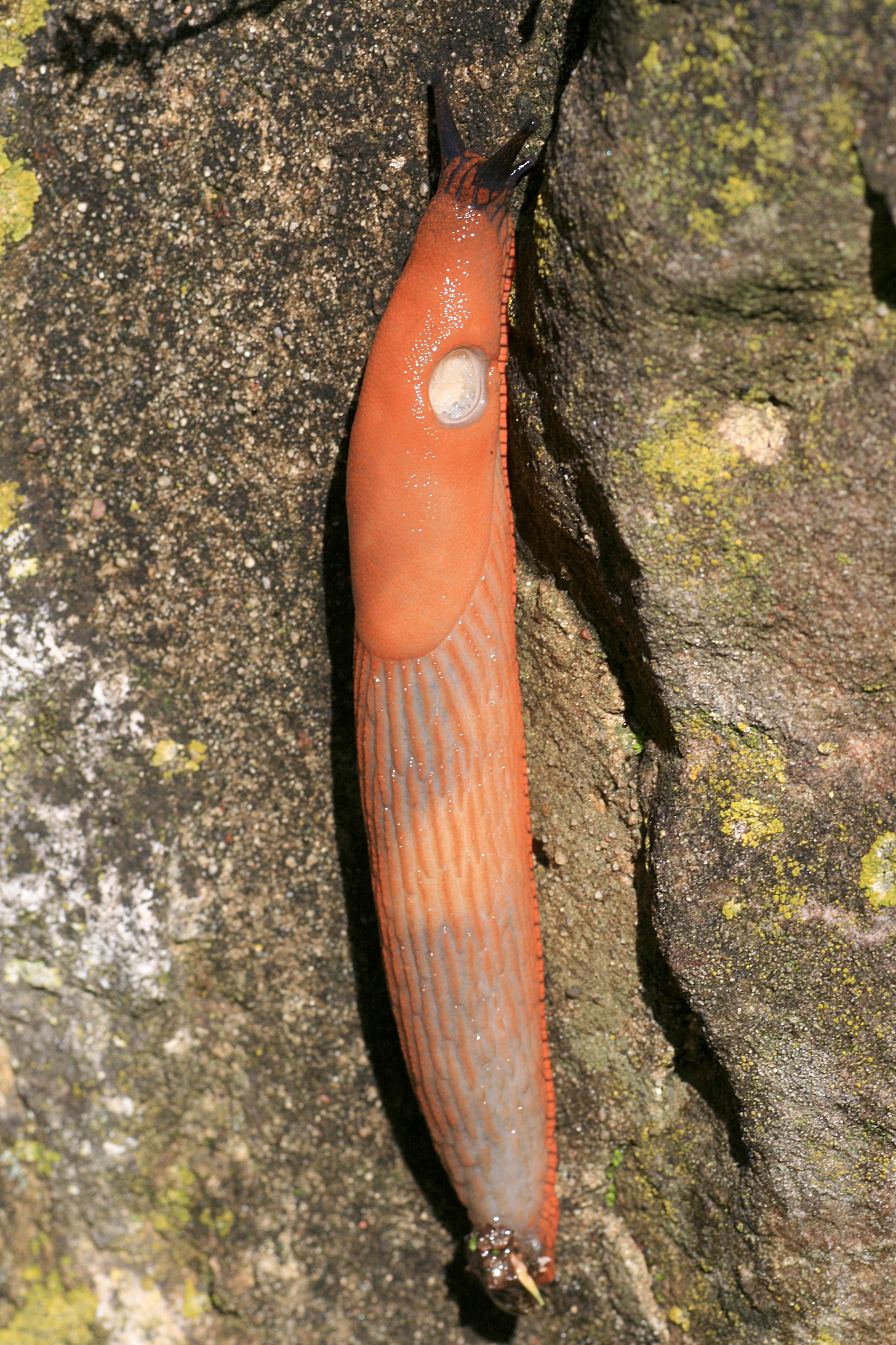 20100904104005.jpg