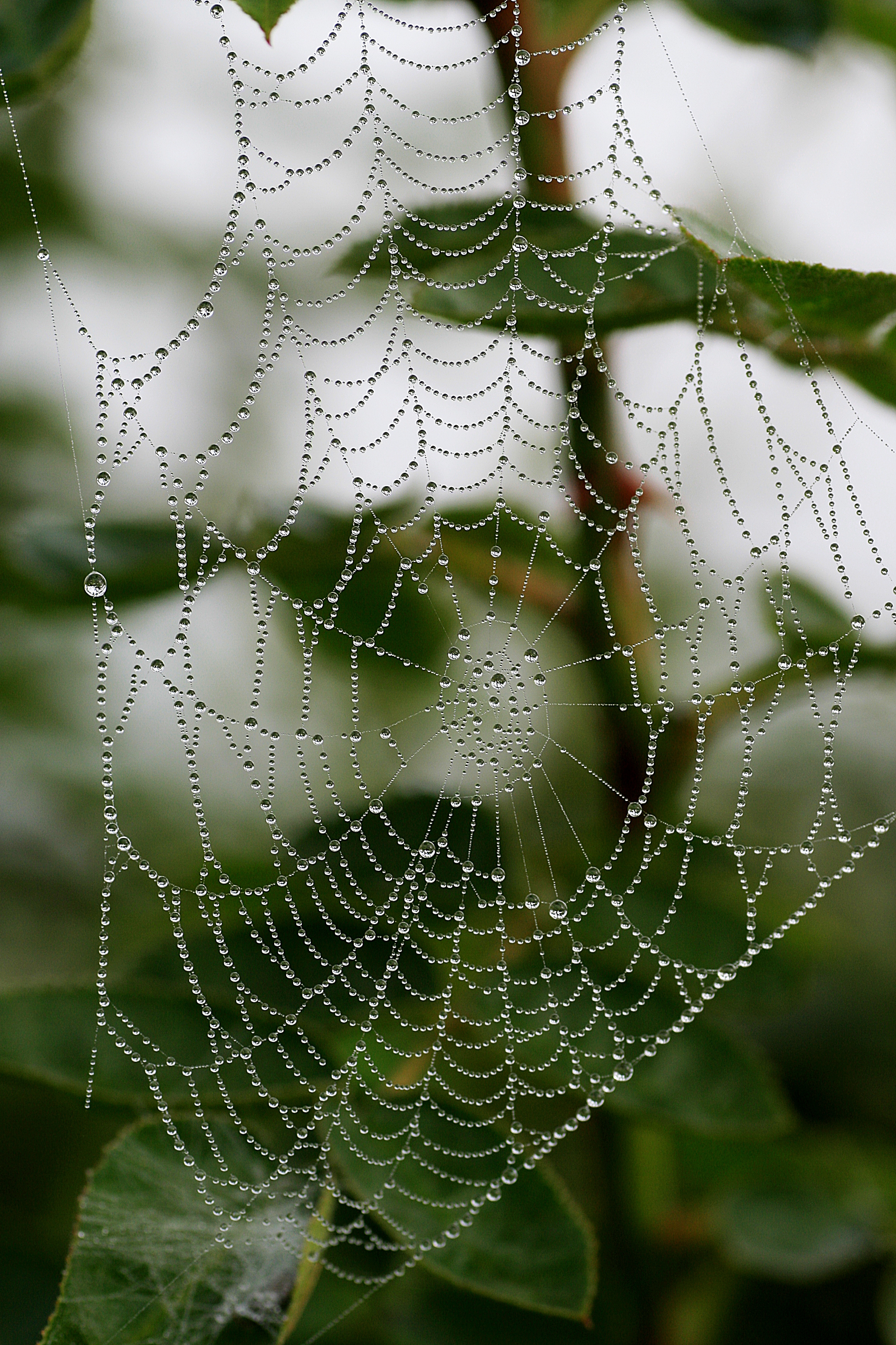 20100905082928.jpg
