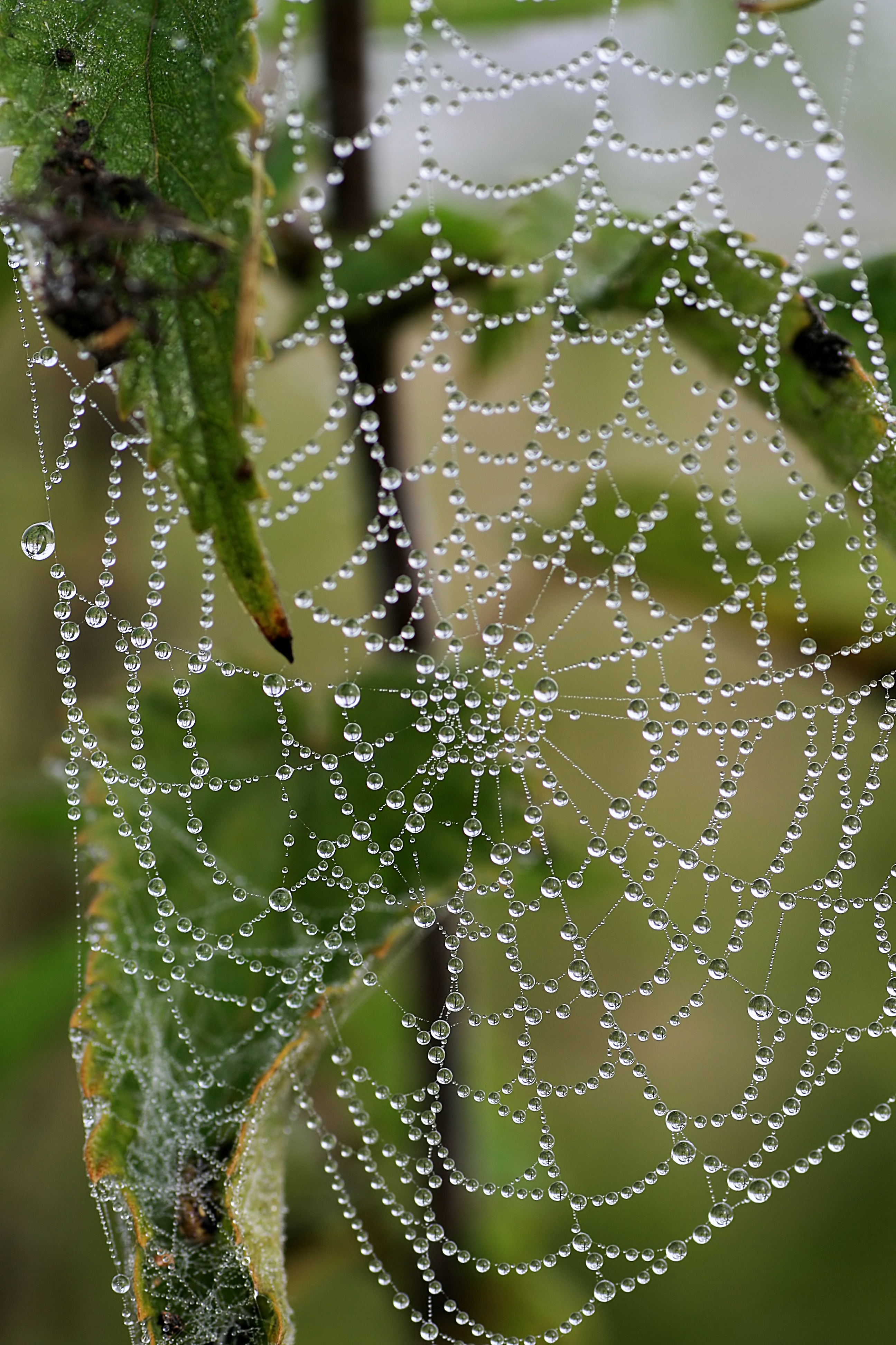 20100905083122.jpg