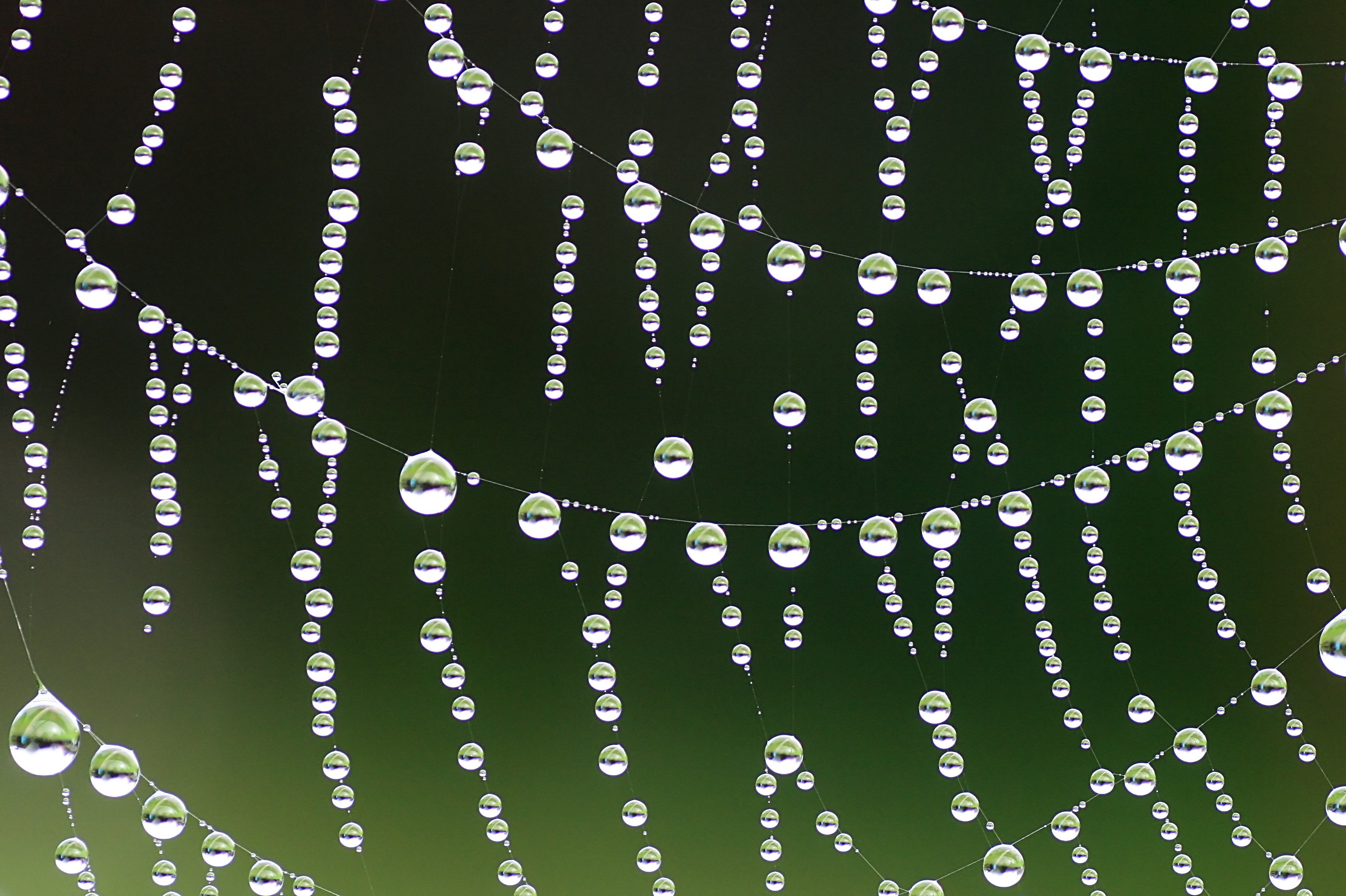 20100905083809.jpg