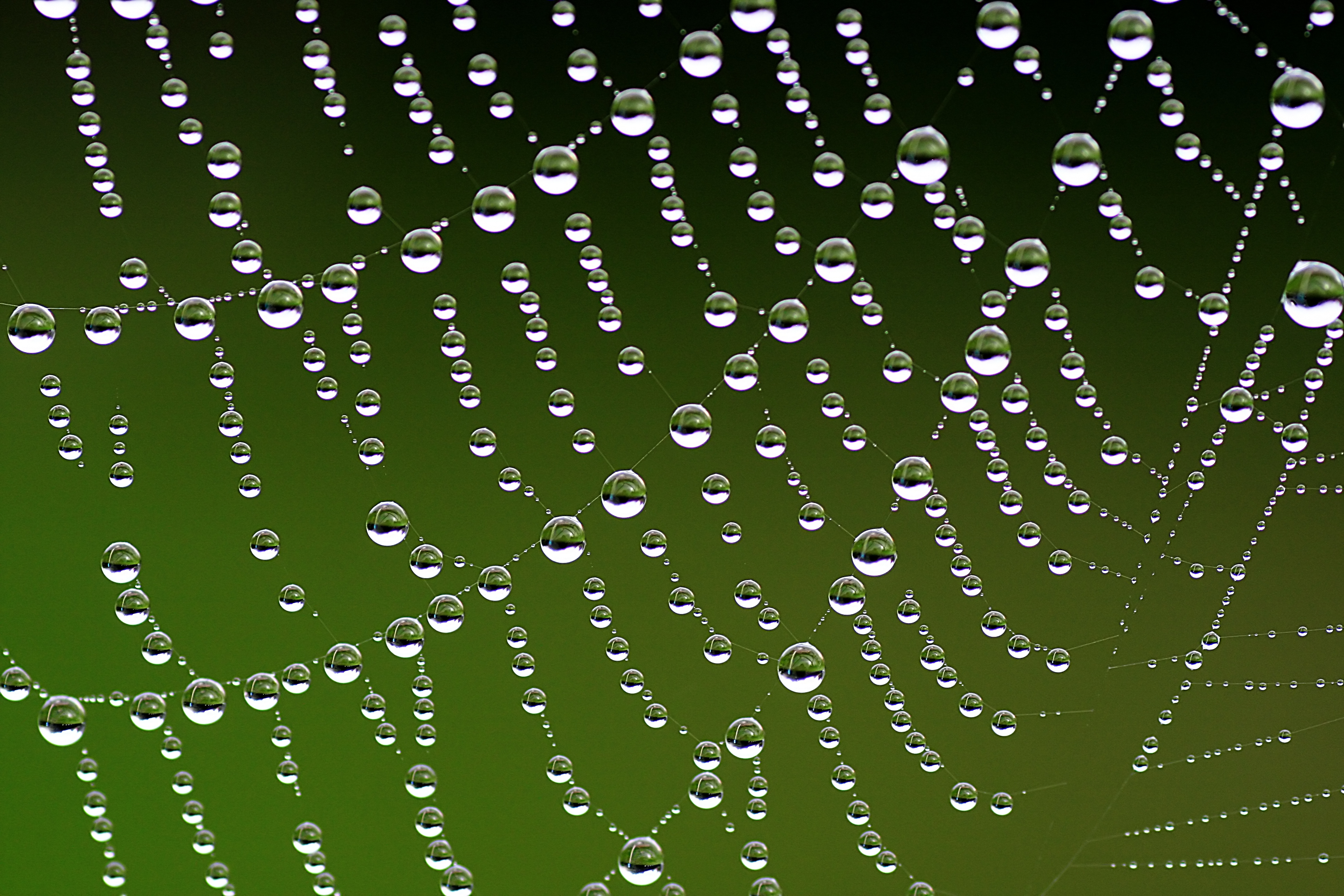 20100905083953.jpg