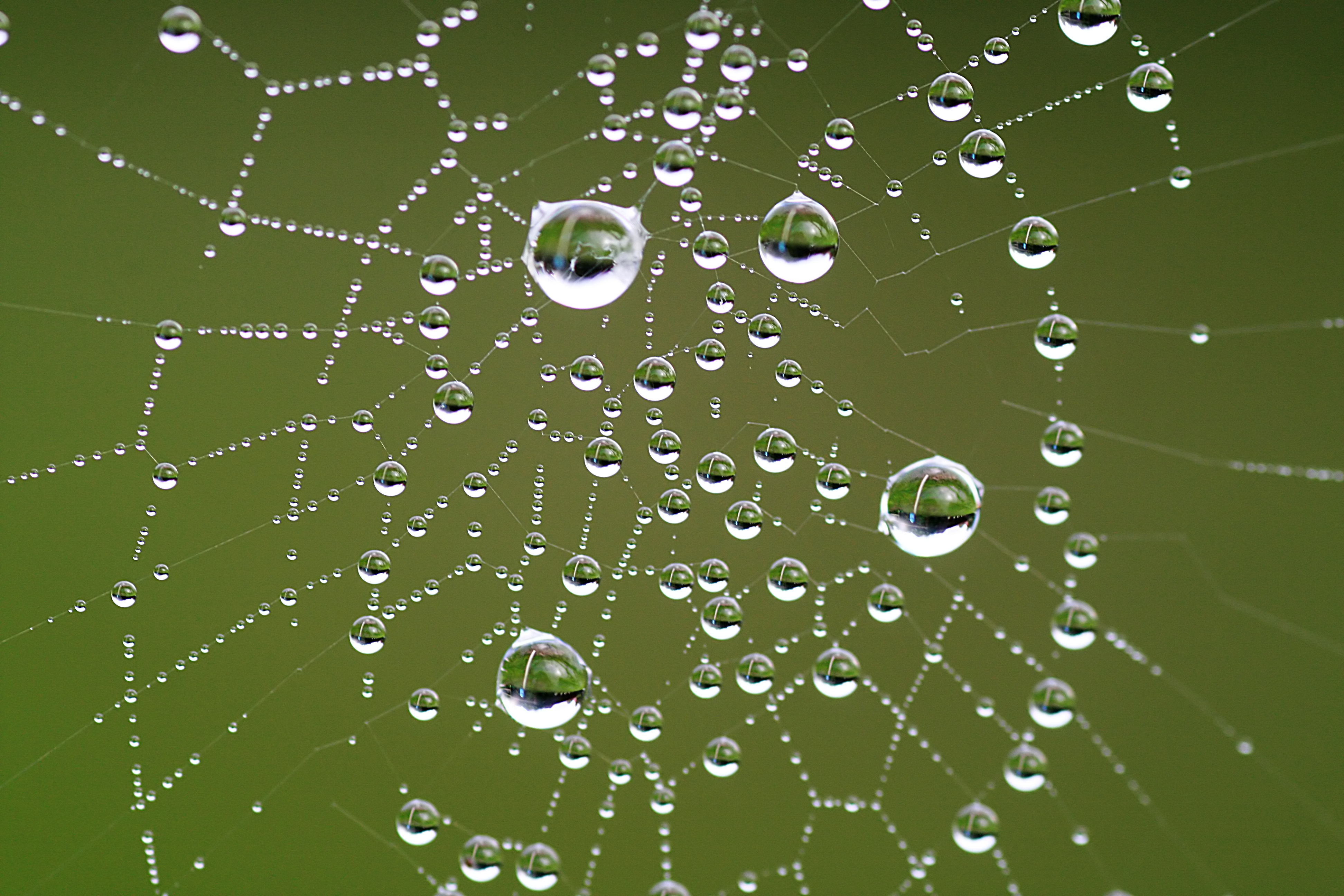 20100905084139.jpg