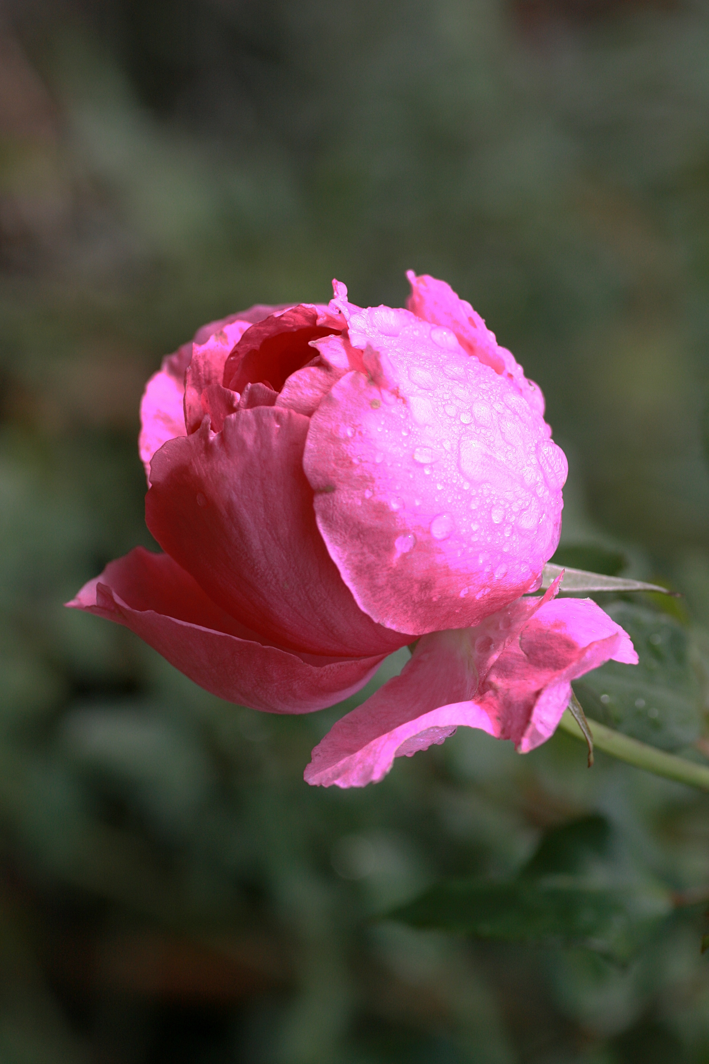 20100905084715.jpg