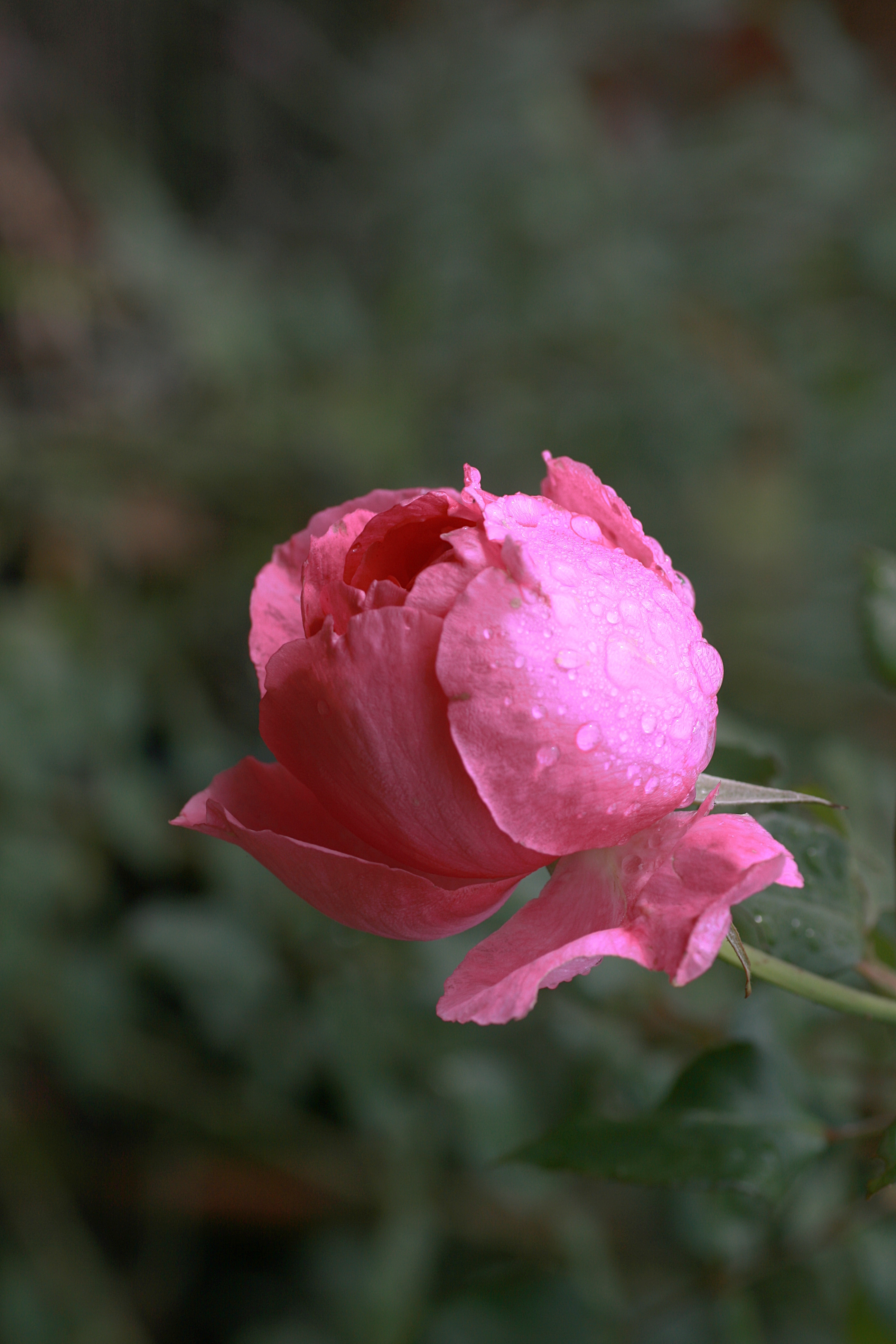20100905084800.jpg
