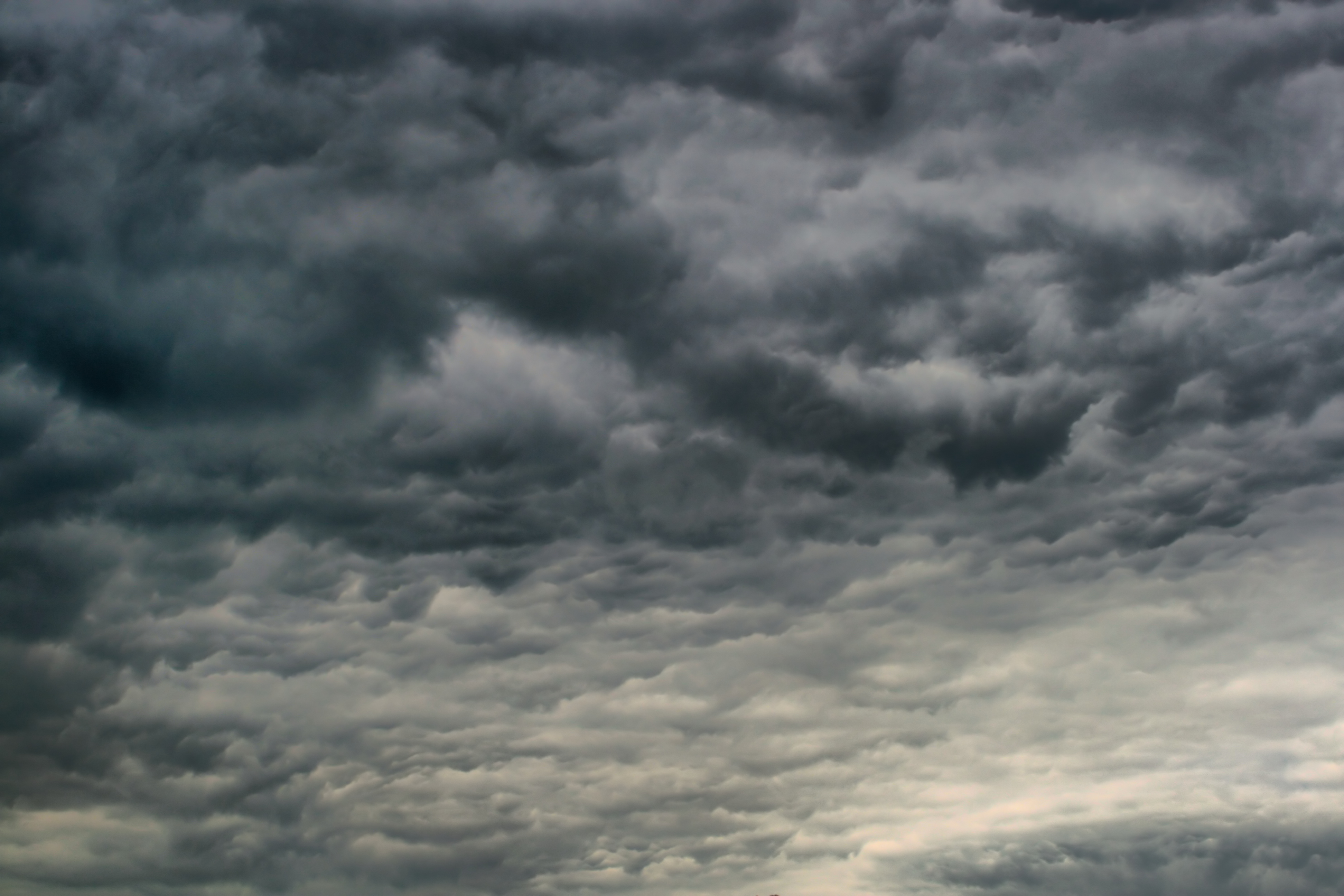 20100929173400-6.jpg