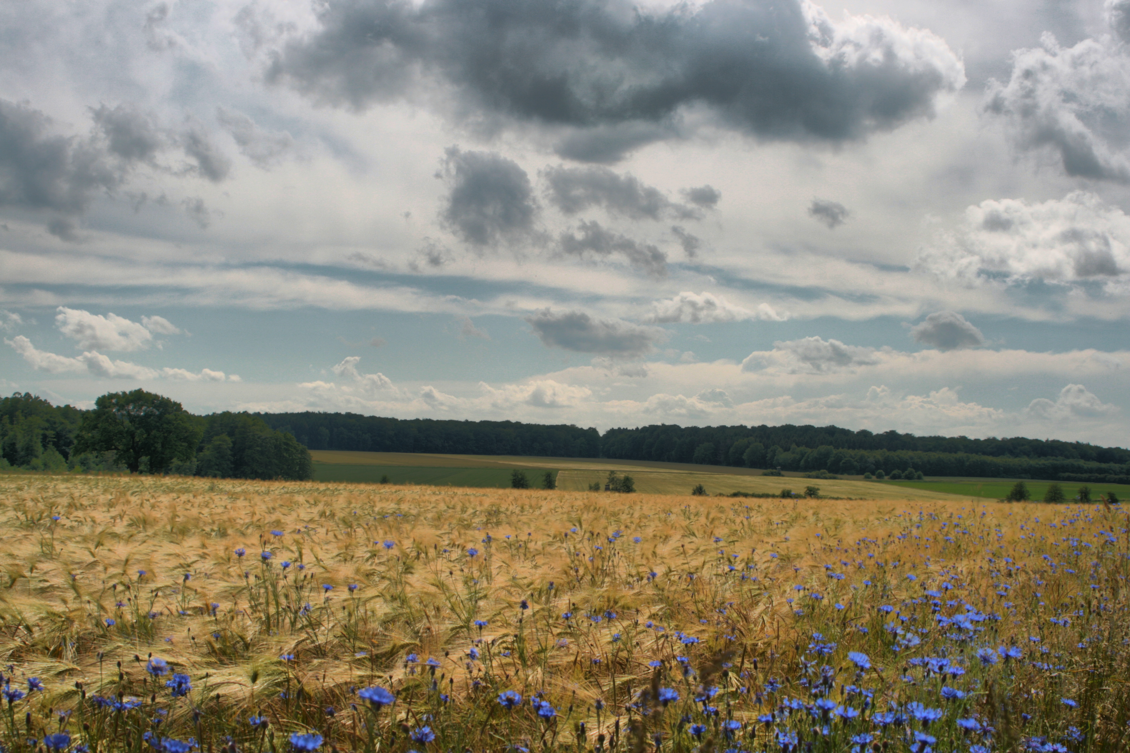 20100929173800-2.jpg