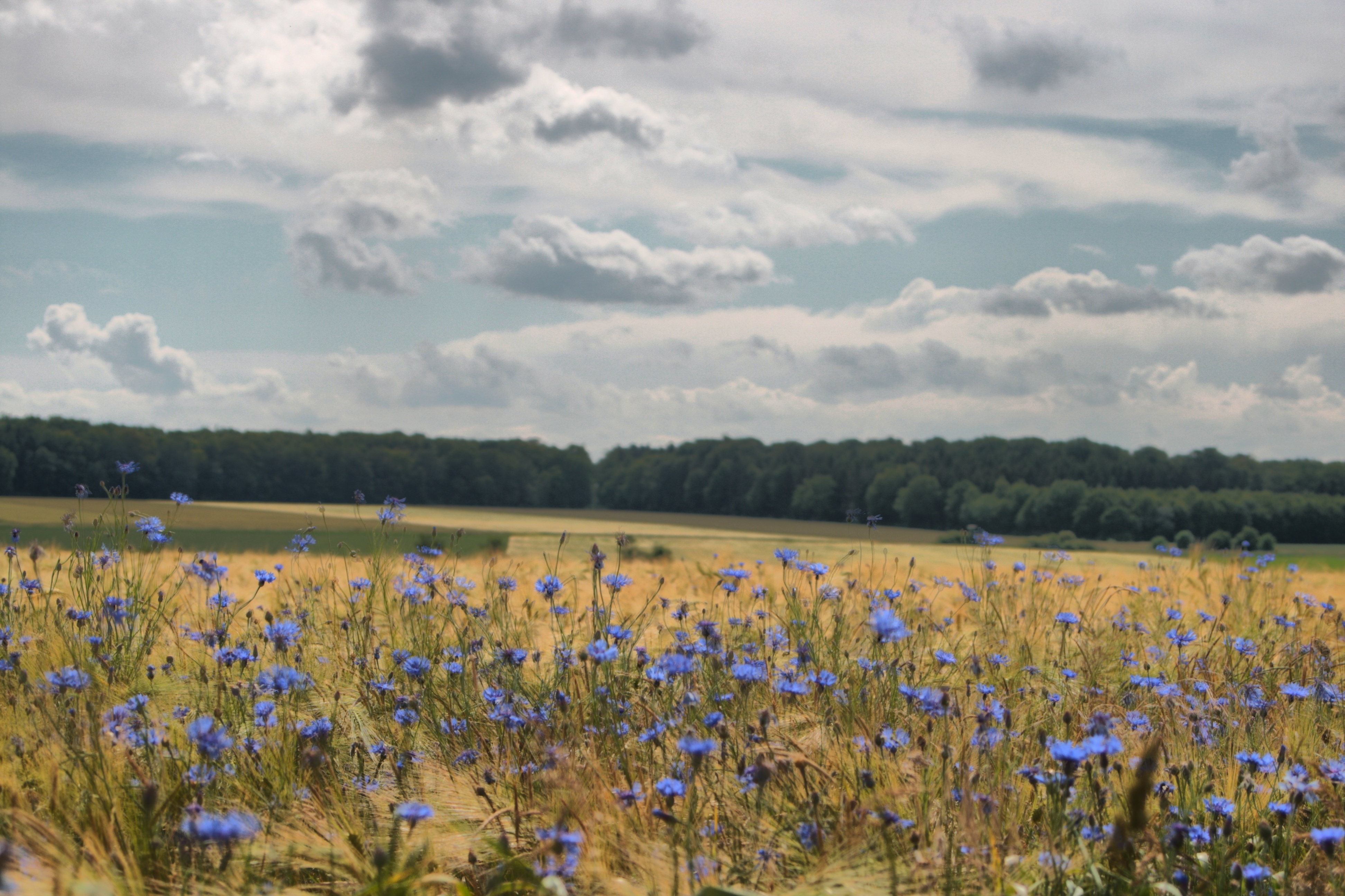 20100929173800.jpg