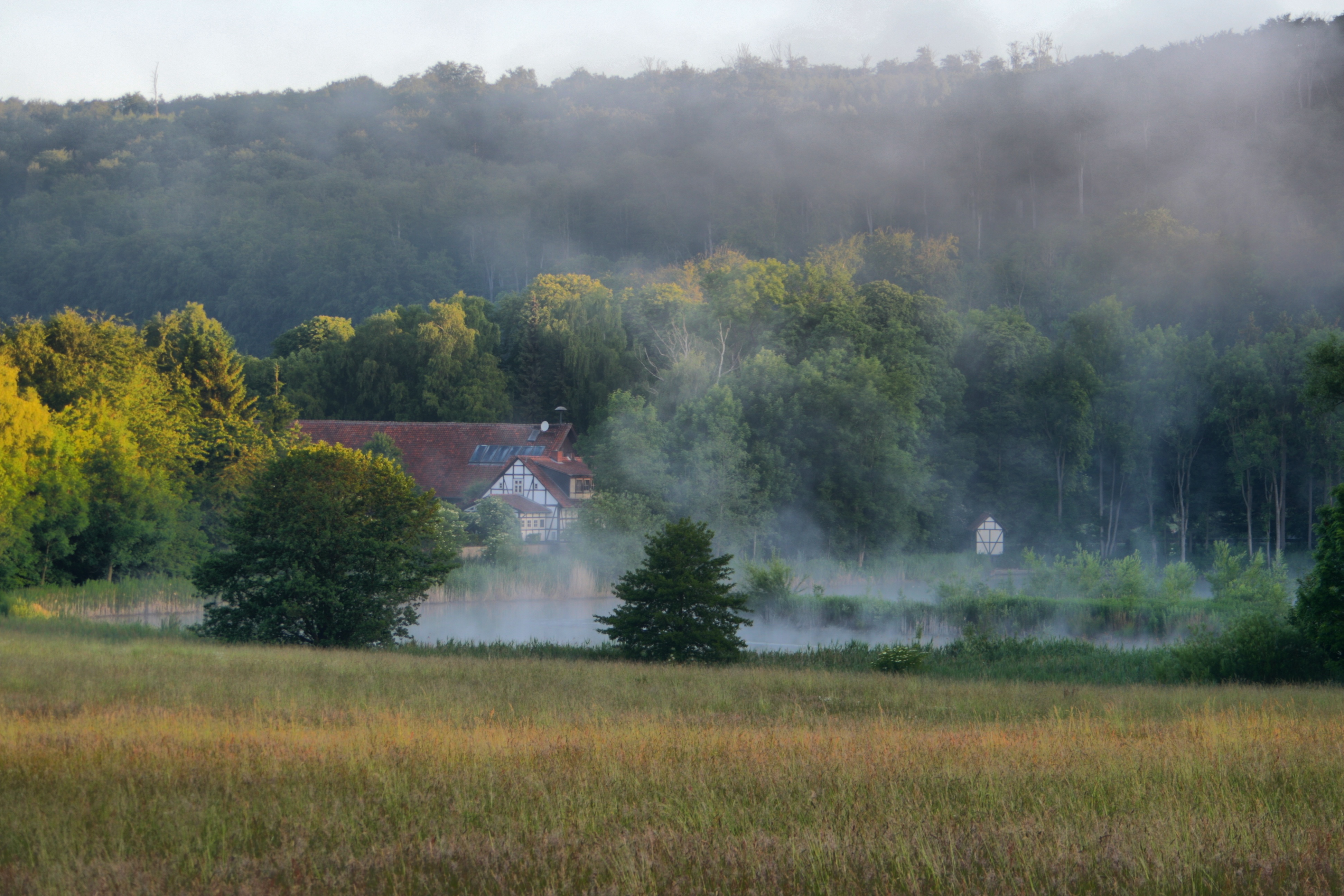 20100929173900-2.jpg