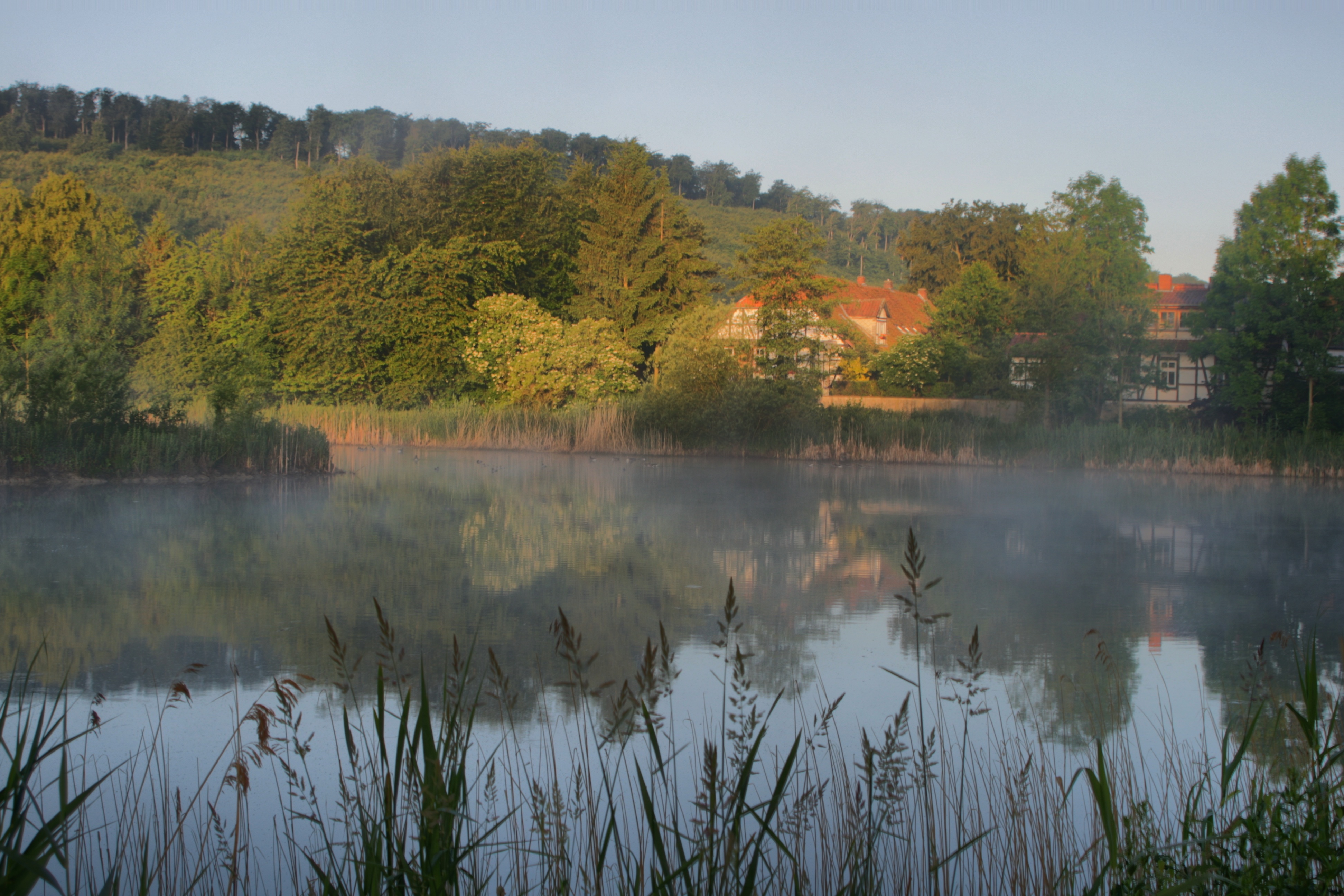 20100929173900-4.jpg
