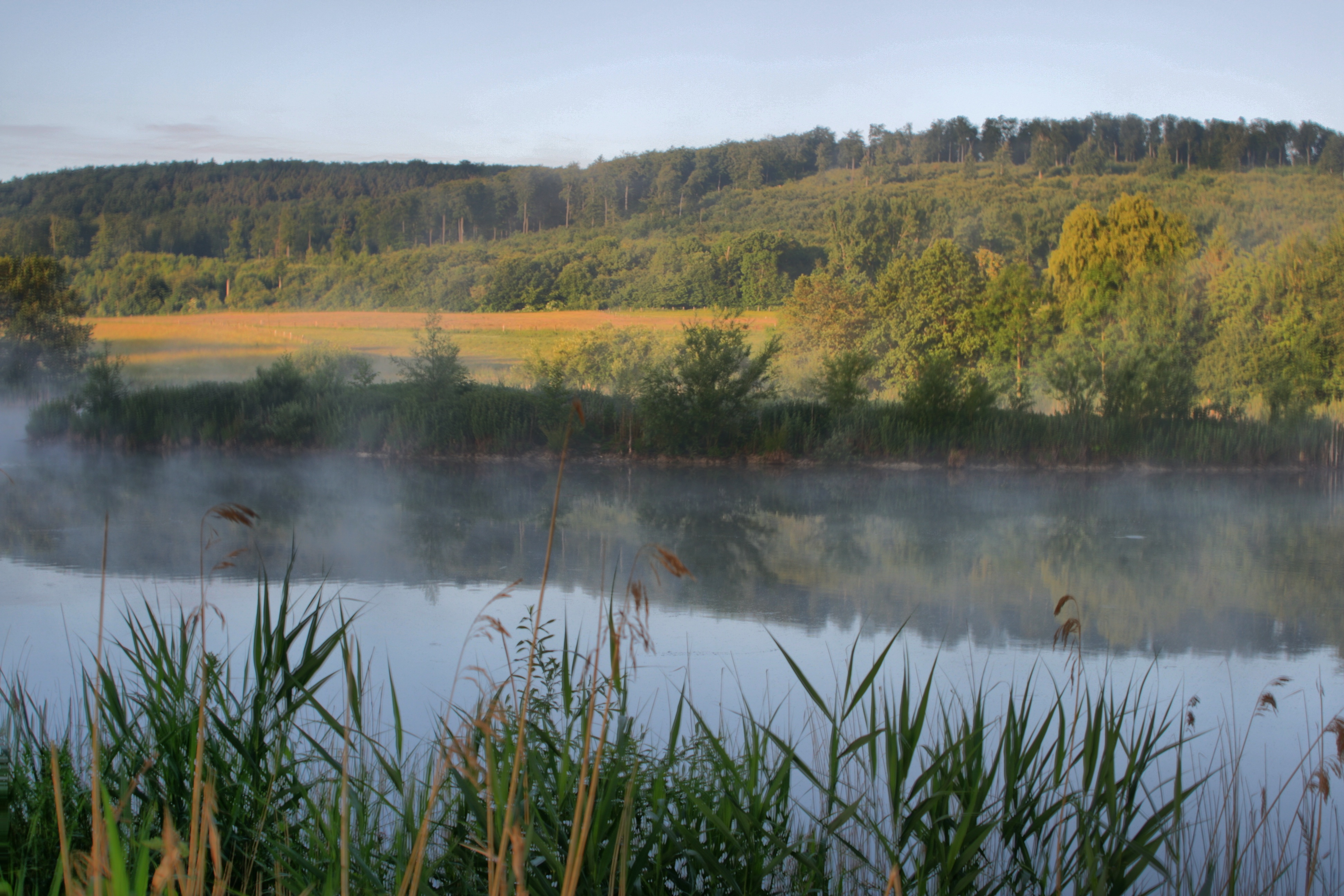 20100929173900.jpg