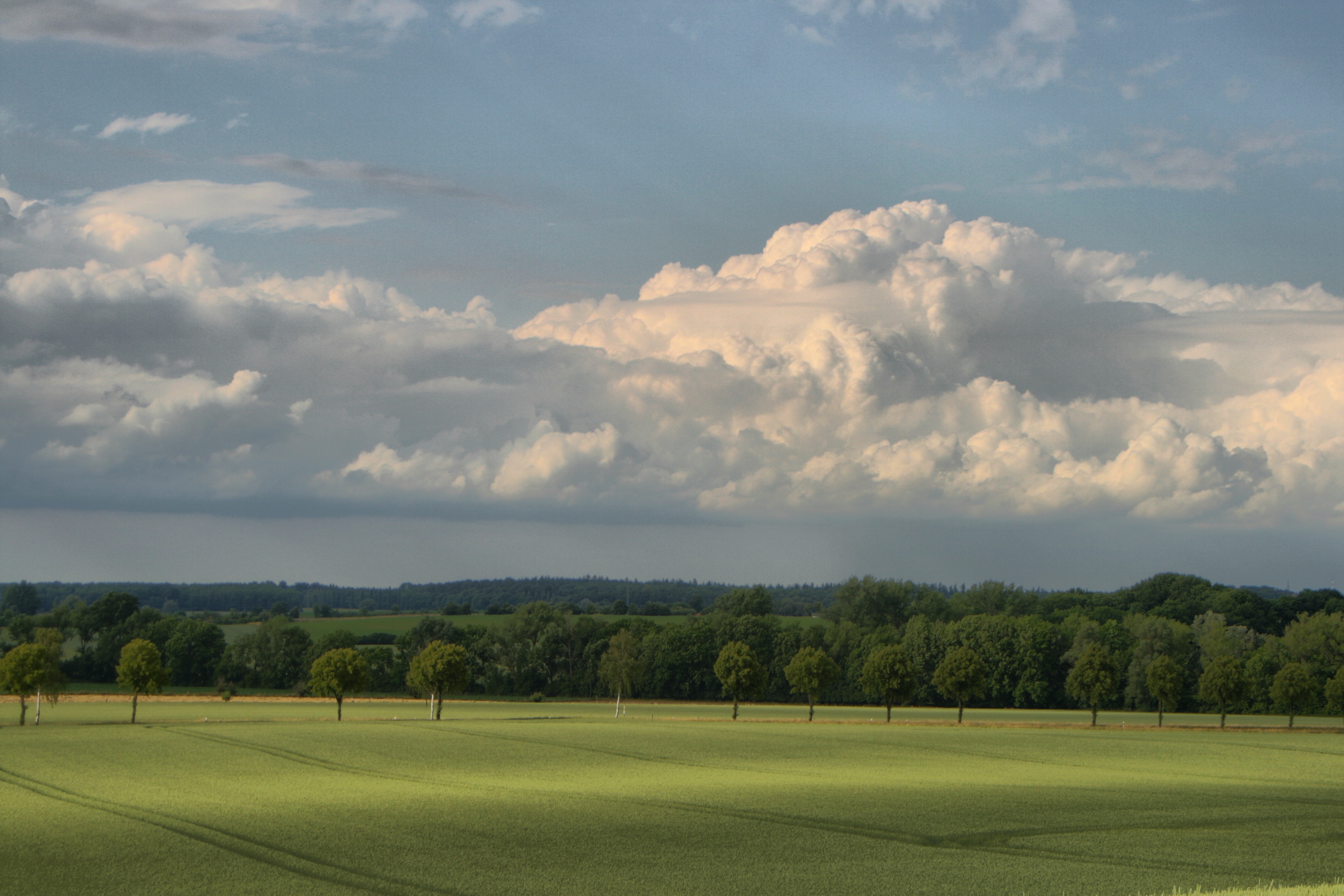 20100929174200-2.jpg
