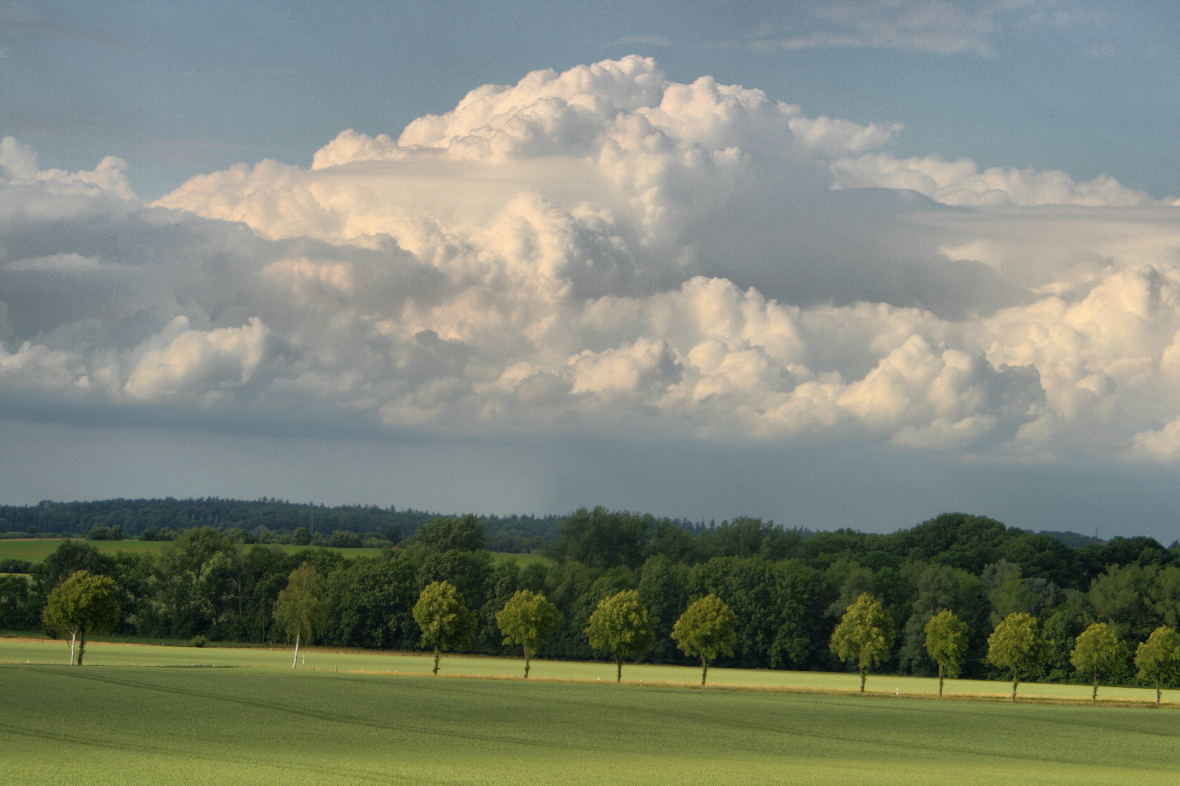 20100929174200-3.jpg