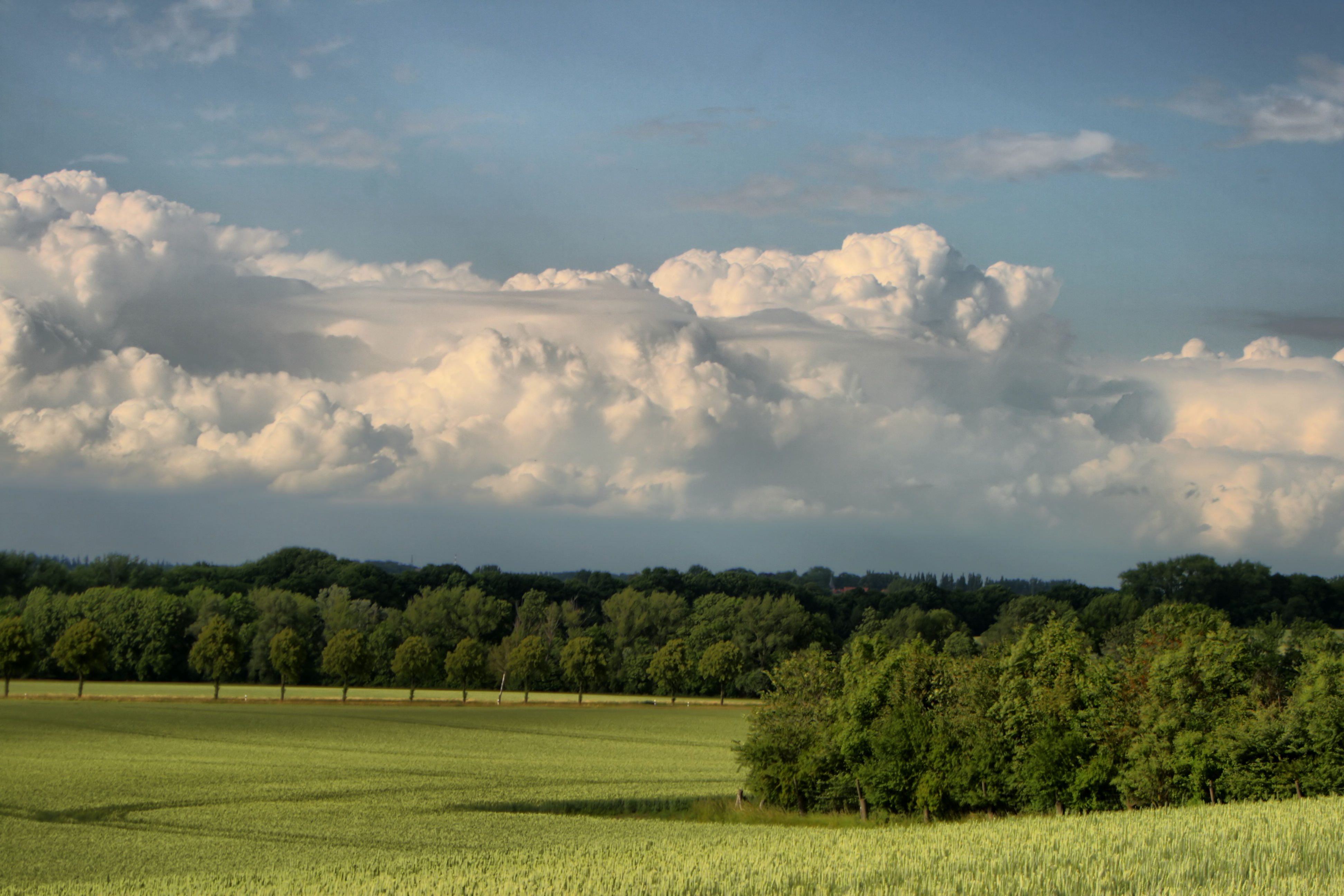 20100929174200-4.jpg
