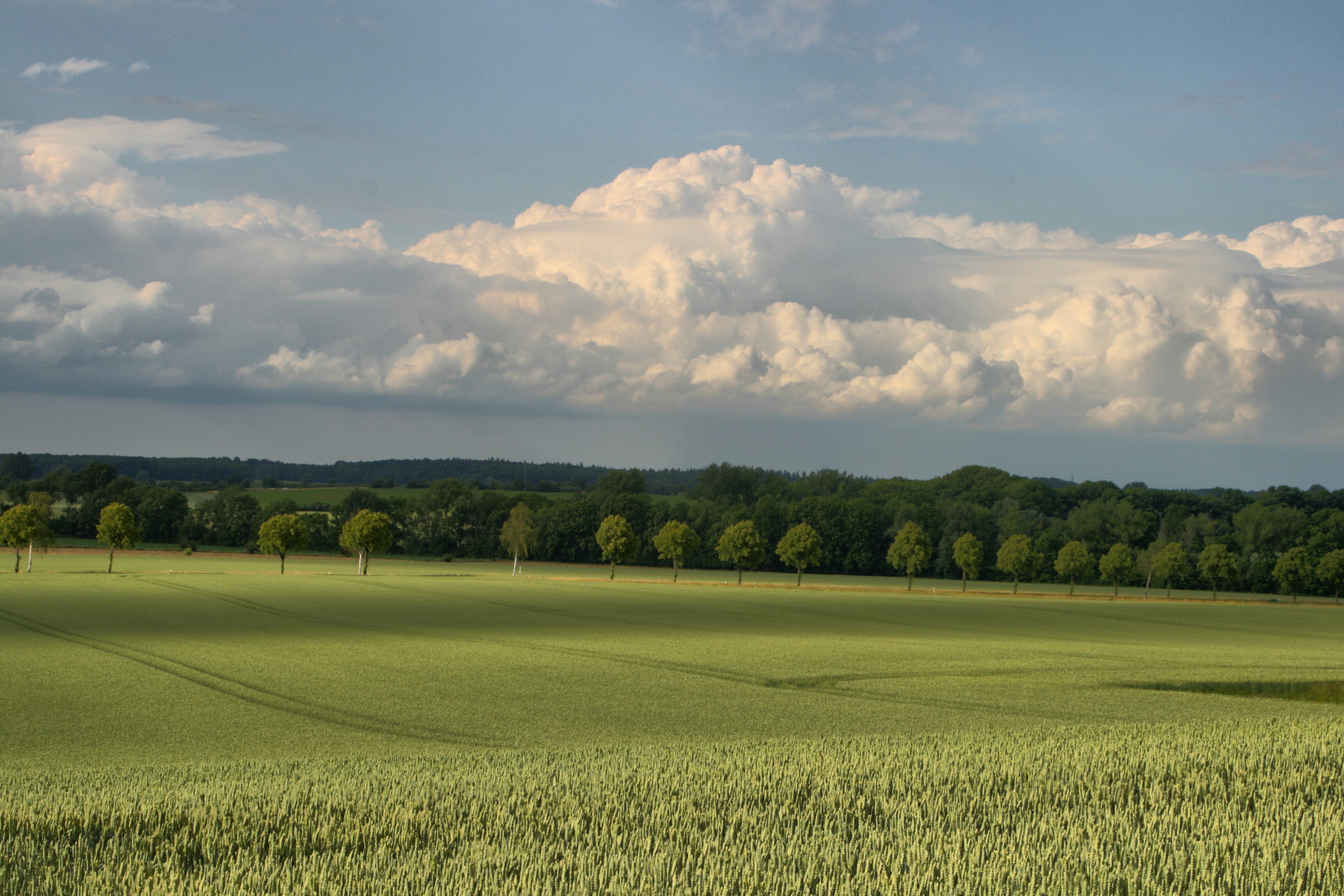 20100929174200.jpg