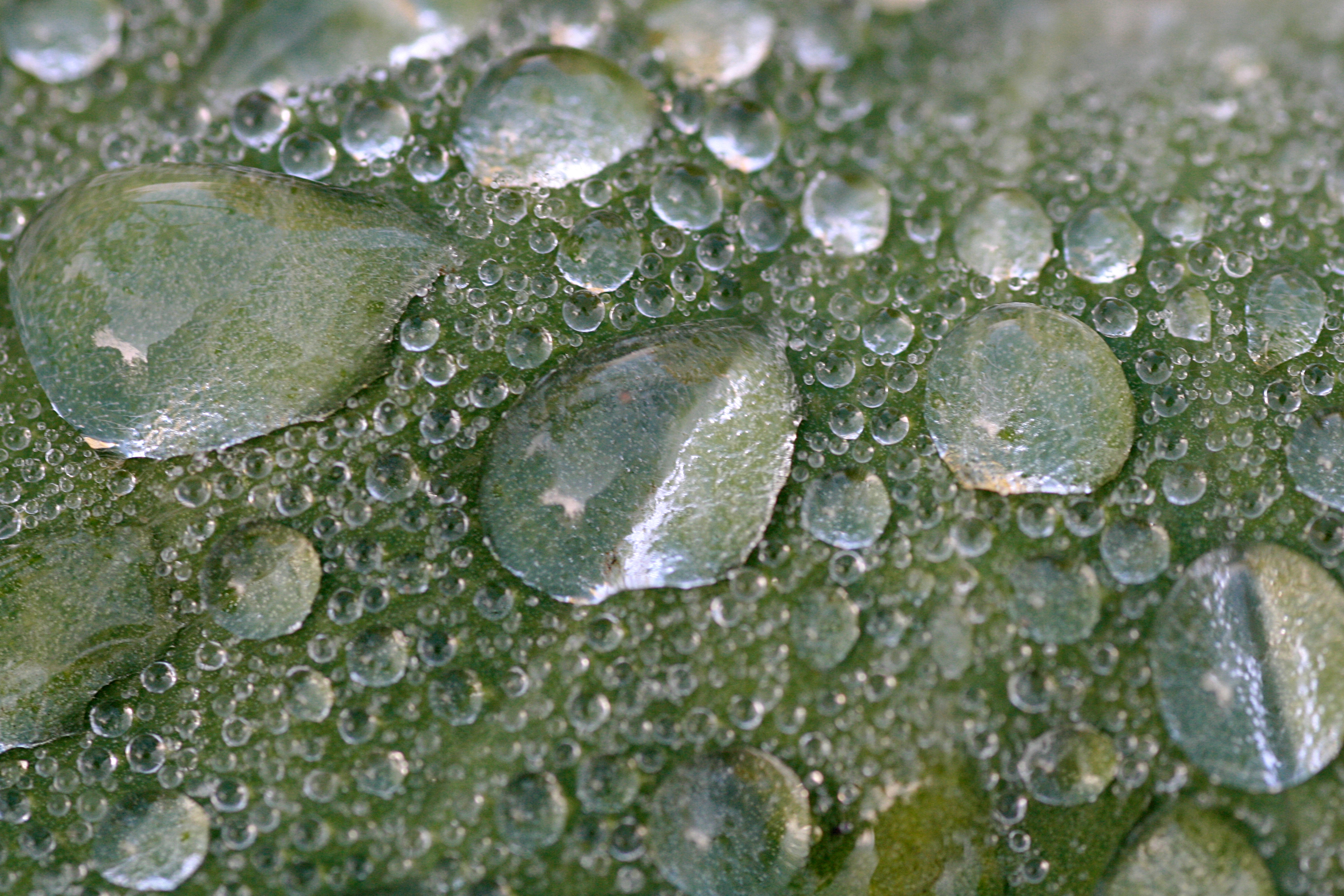 20101001112615.jpg
