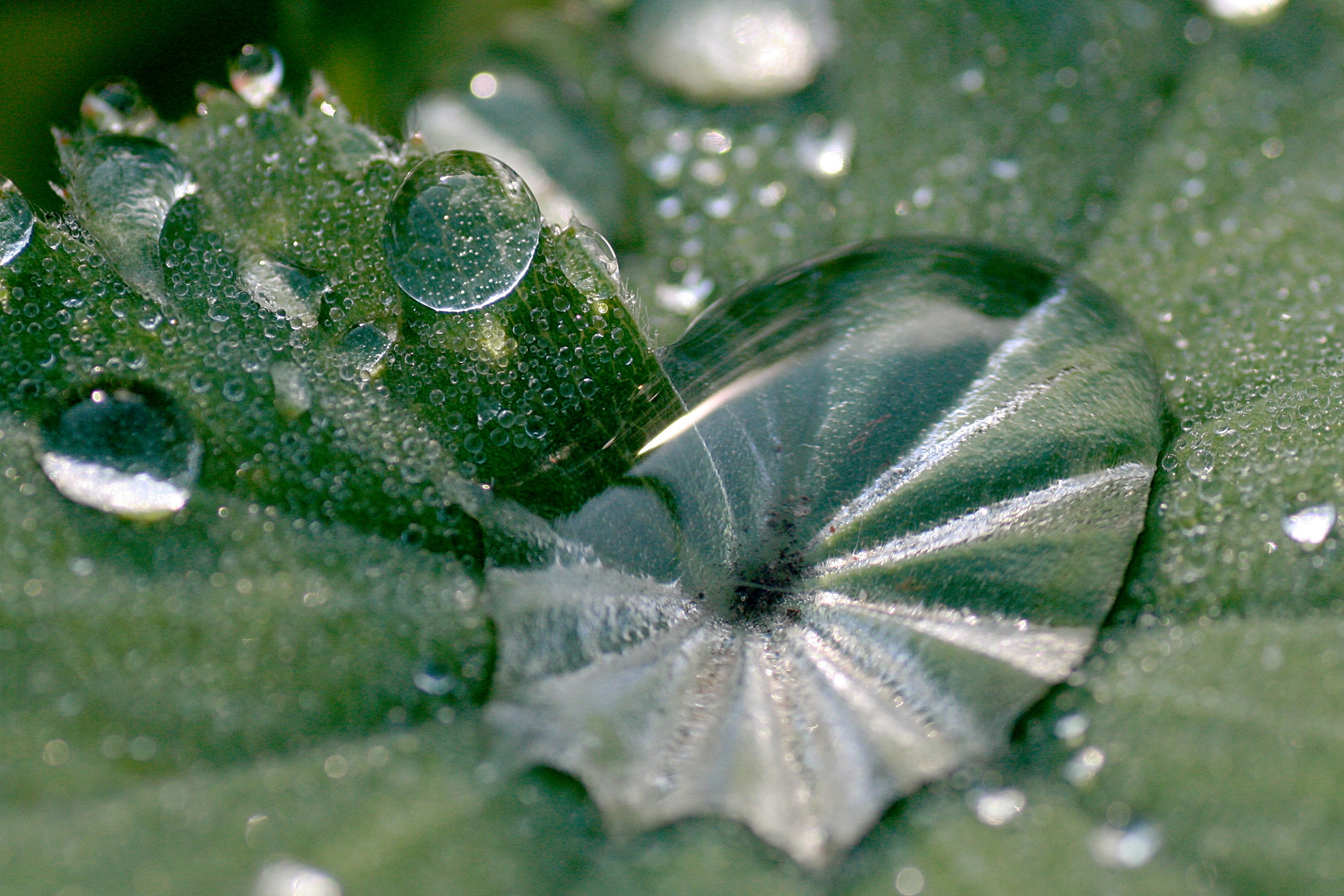 20101001112710.jpg
