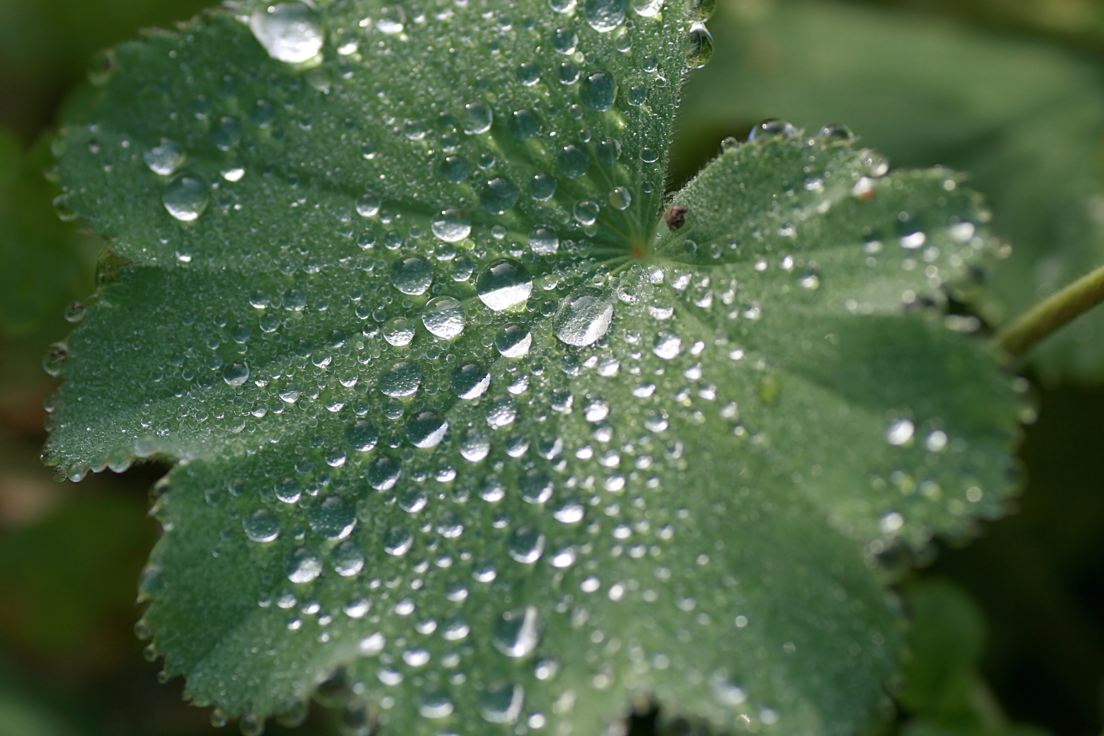 20101001114329.jpg