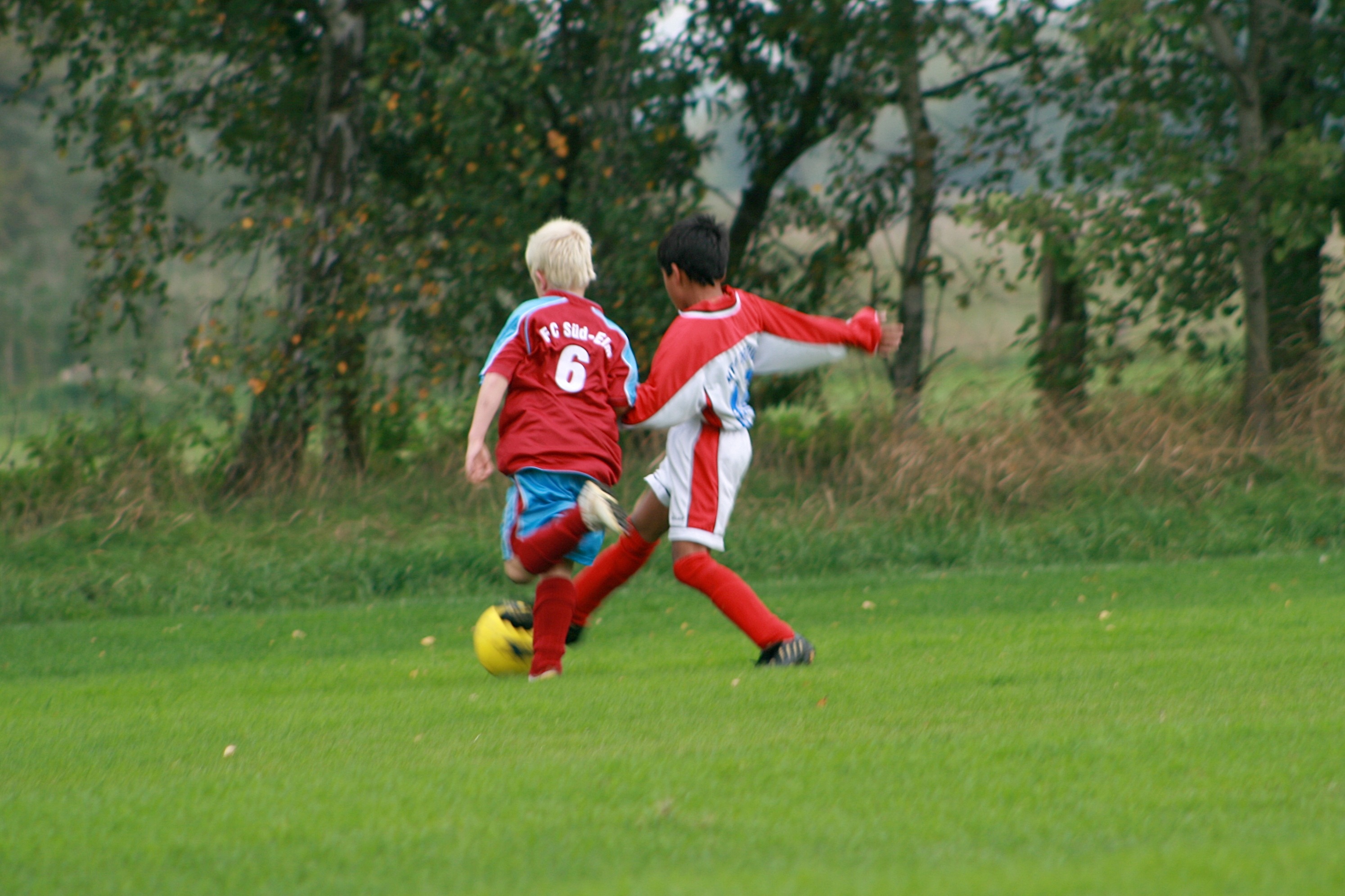 20101002131902.jpg