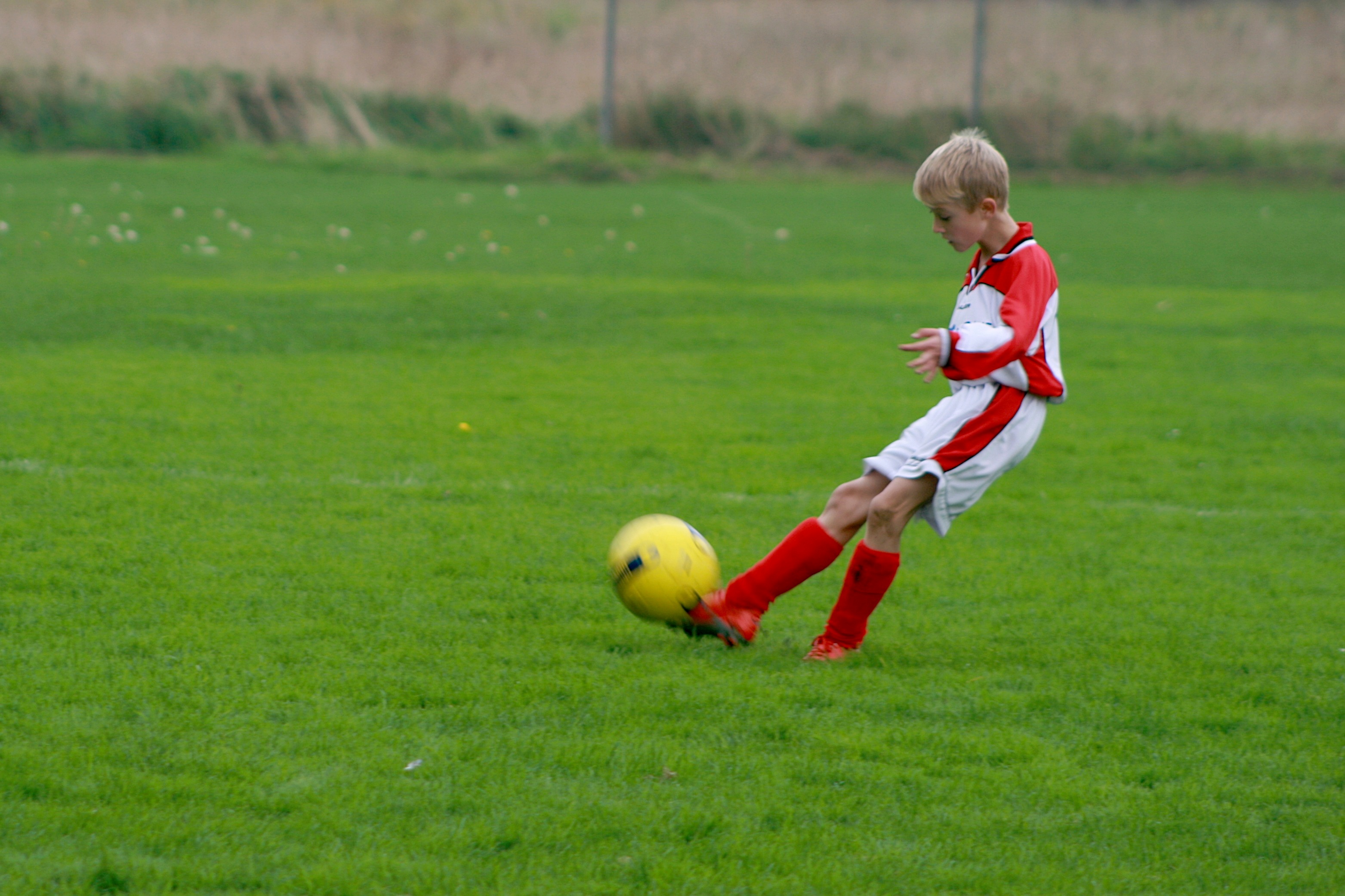20101002132546.jpg