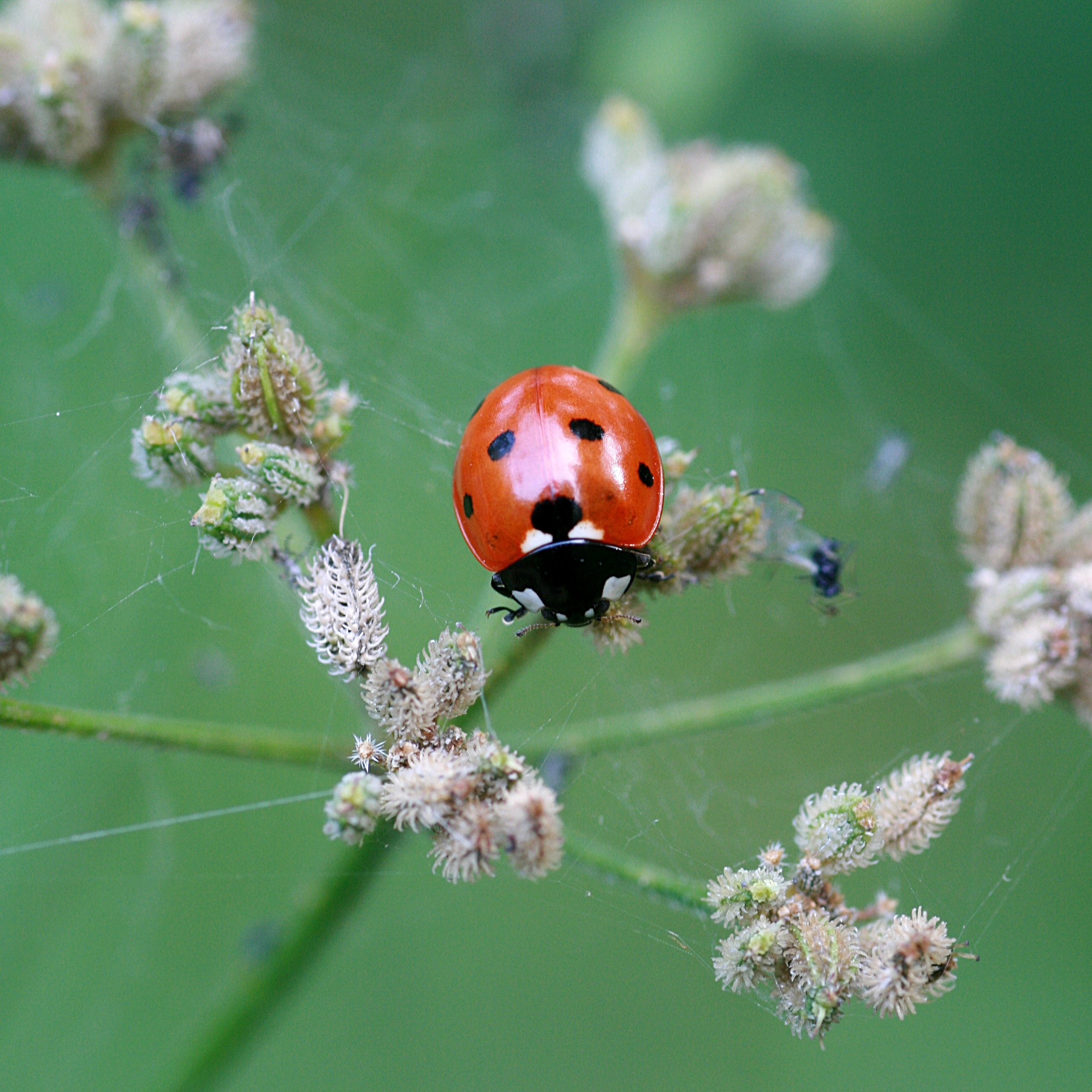 20101005153757.jpg