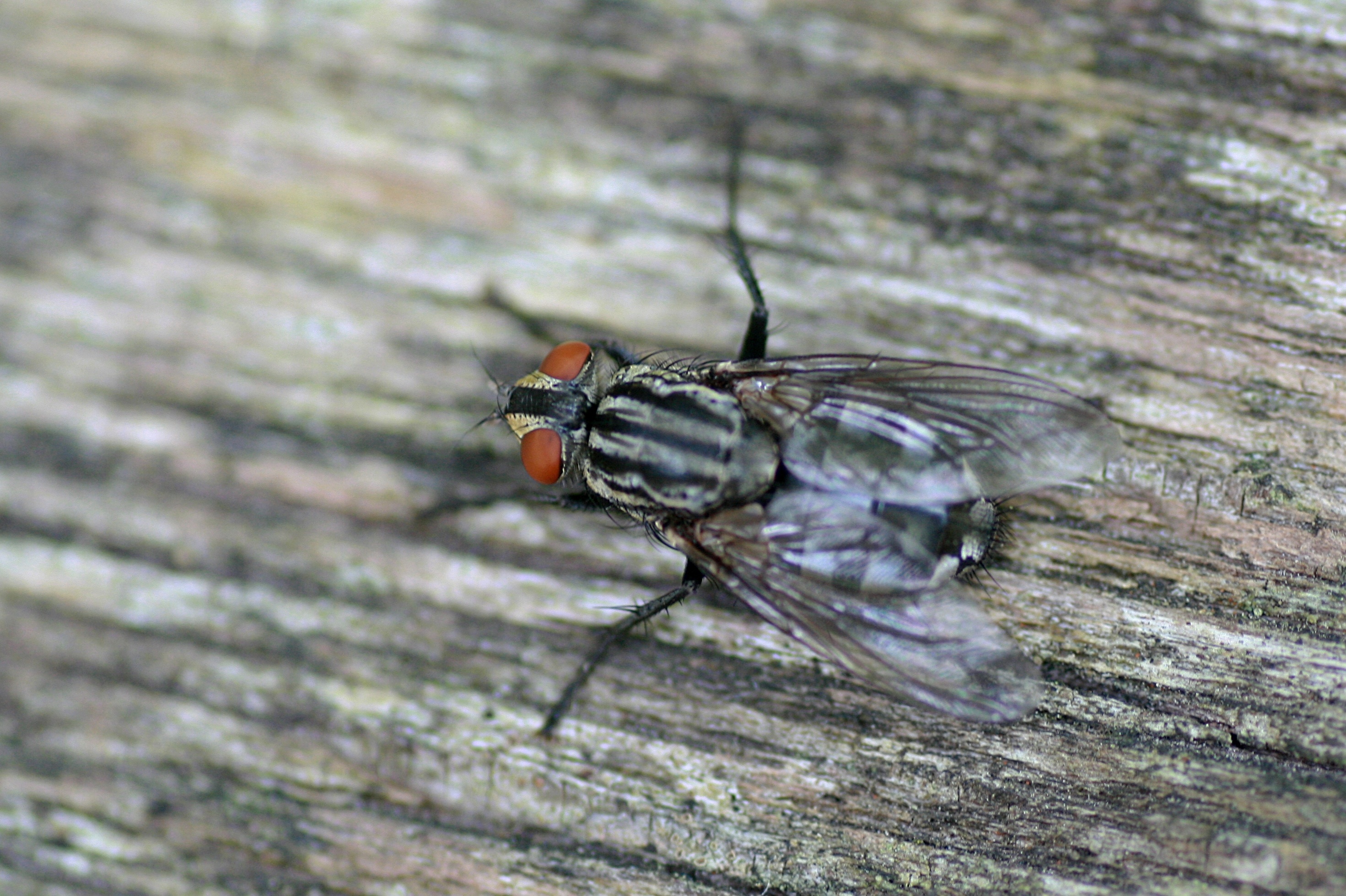 20101005154220.jpg