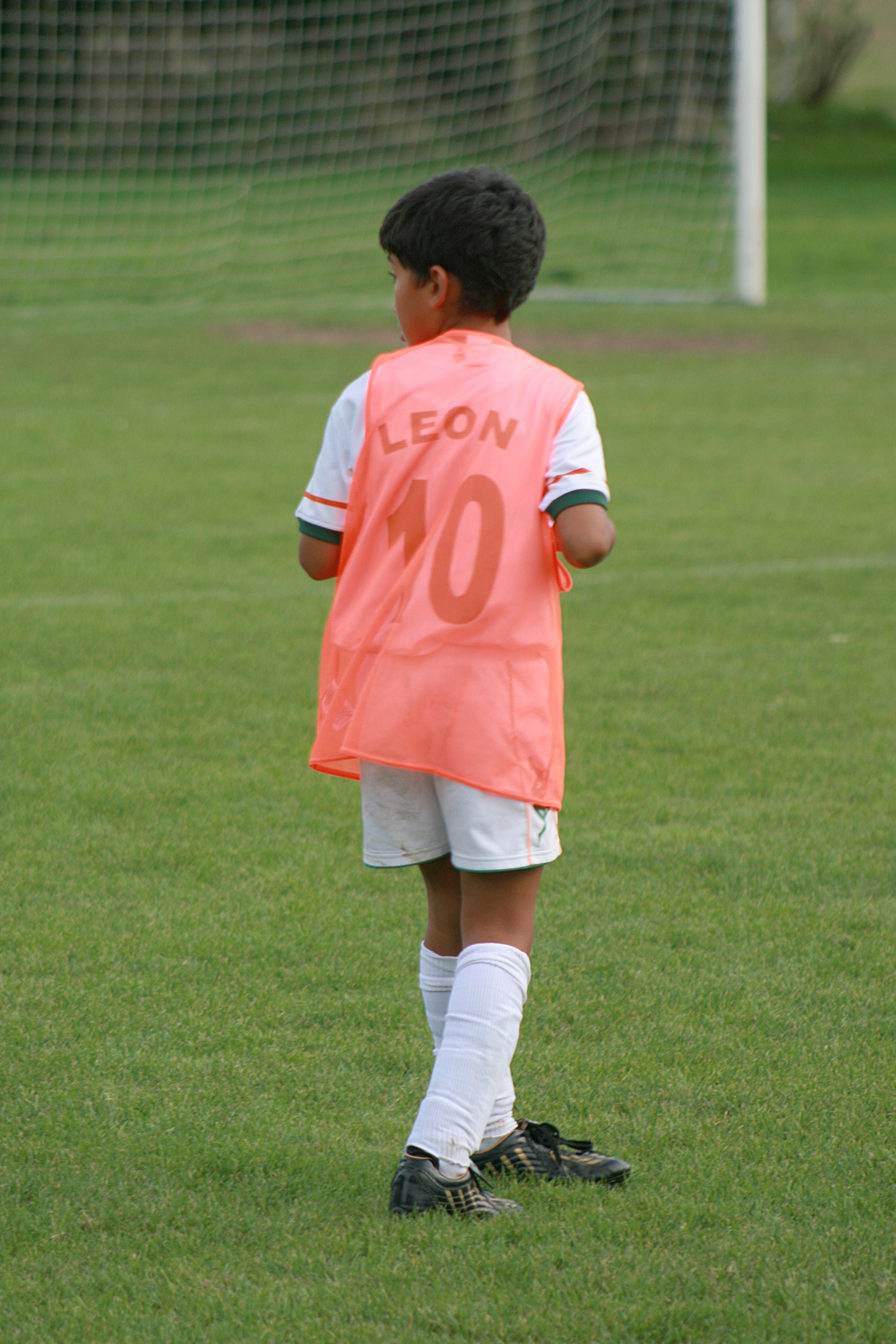 20101006165650.jpg