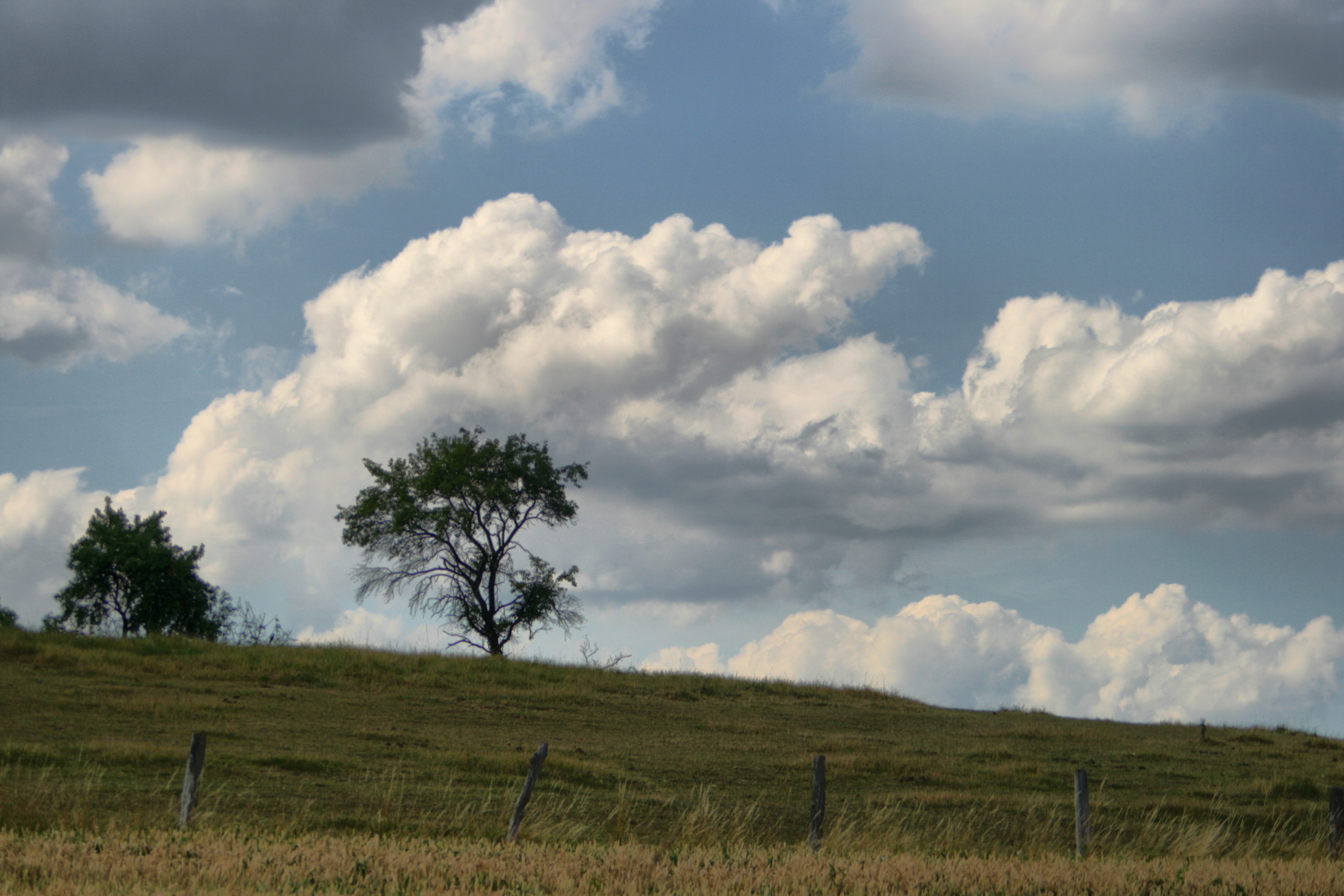 20101011095900-3.jpg