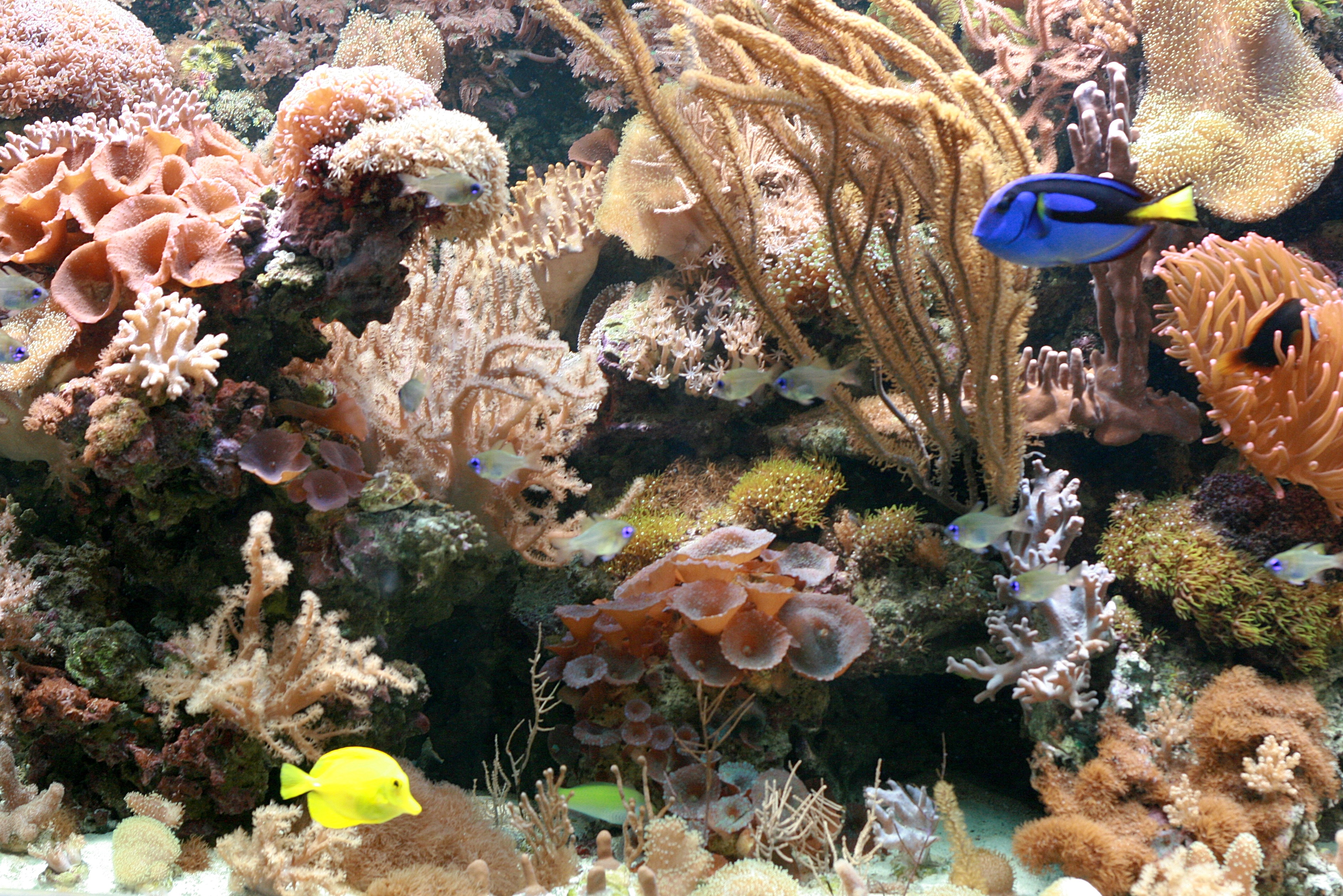 20101012125132.jpg