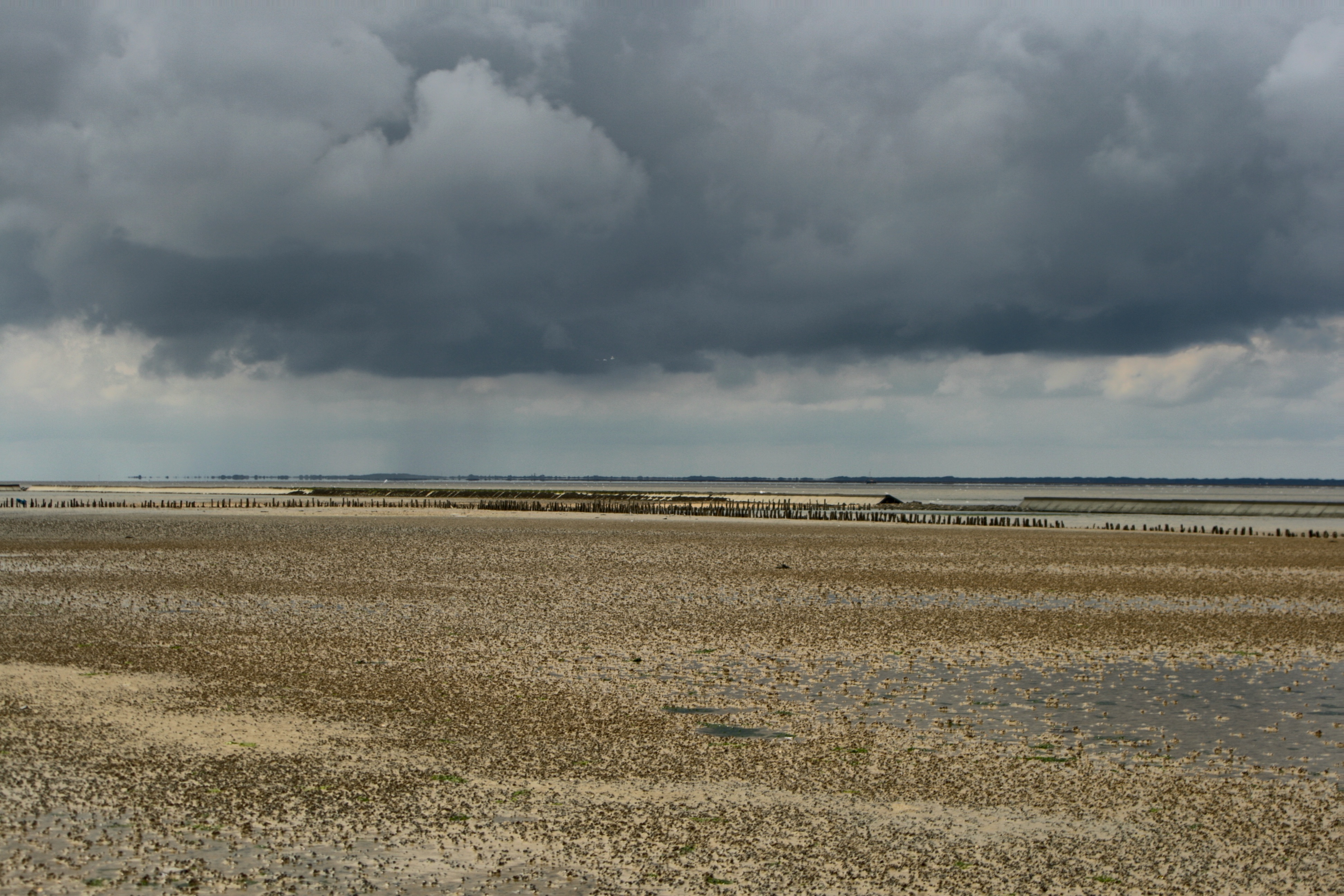 20101013051500-3.jpg