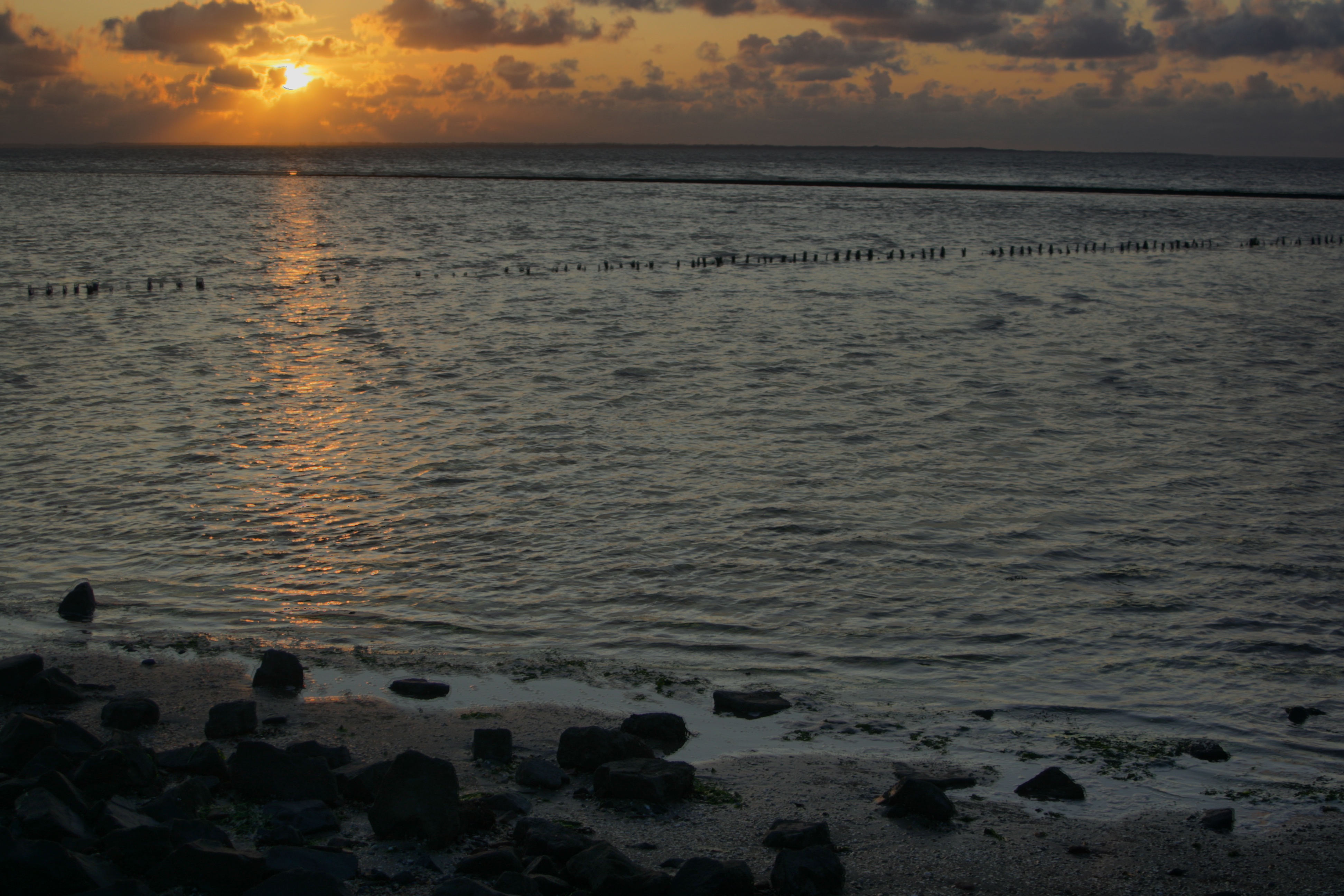 20101013052500-3.jpg