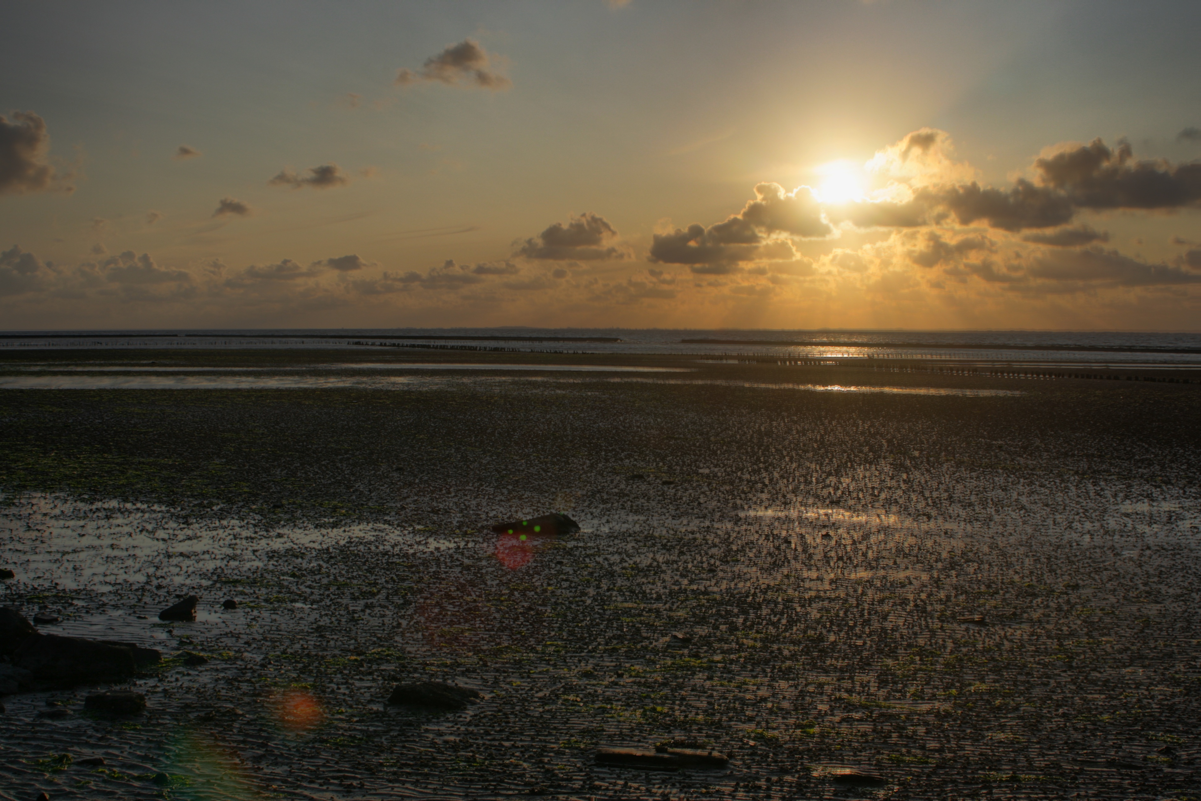 20101013052500-4.jpg