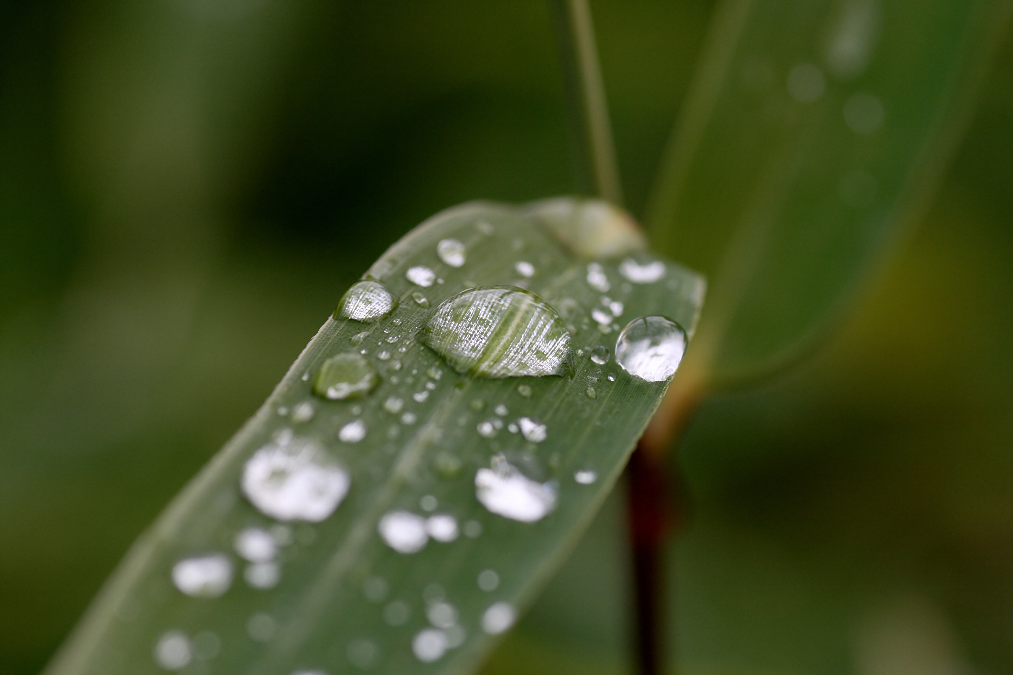 20111026113820.jpg