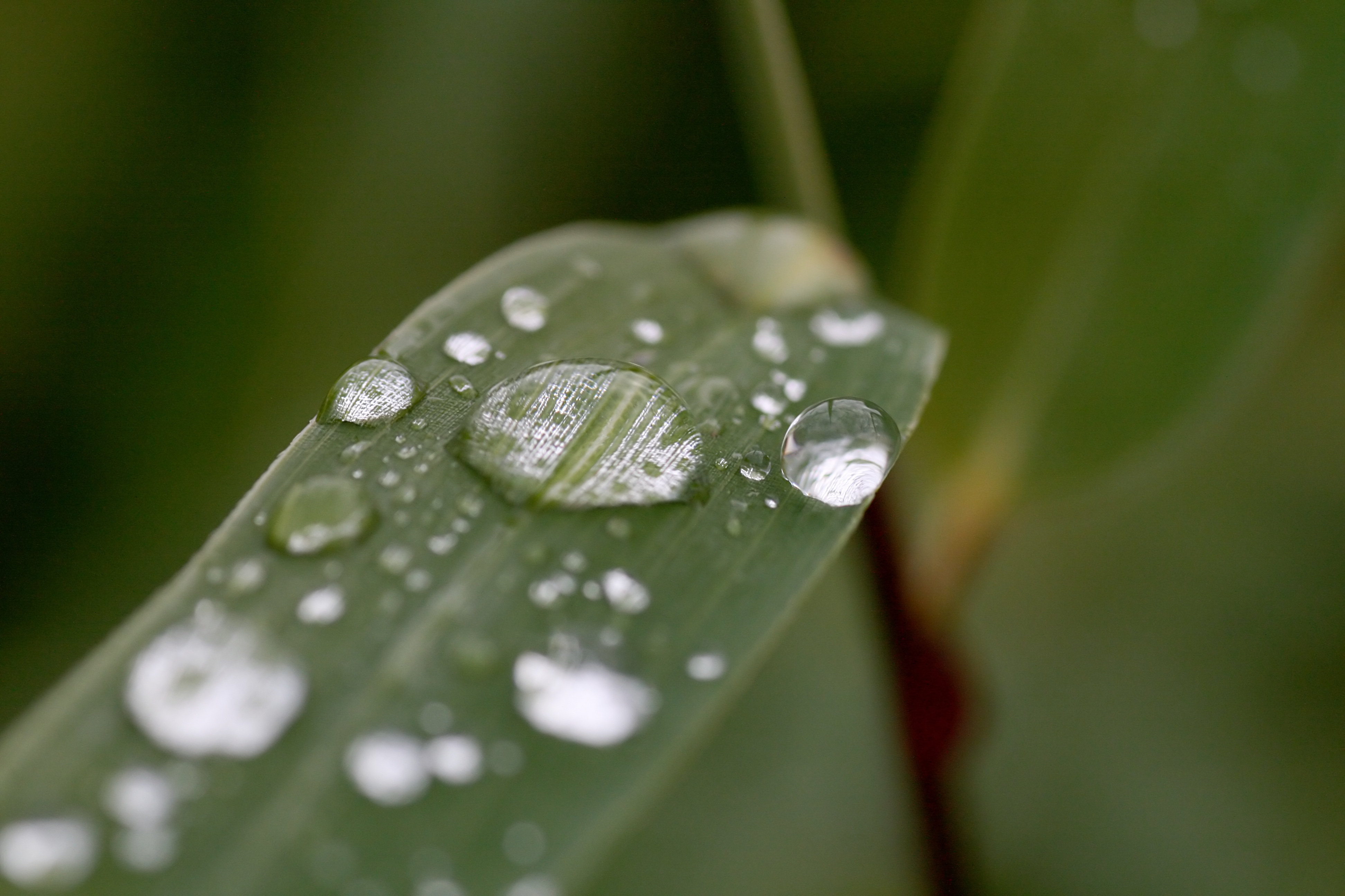 20111026113845.jpg