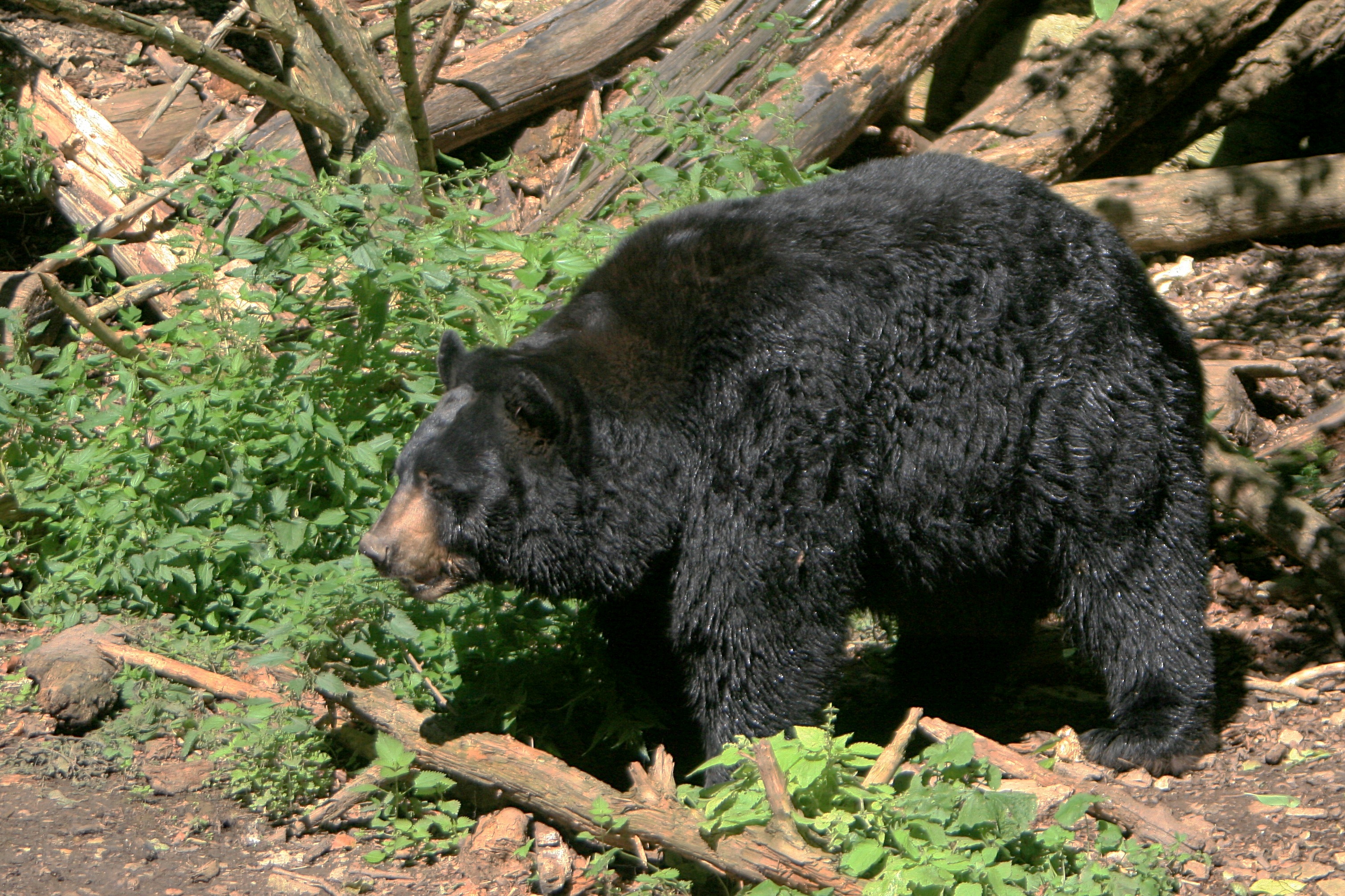 20111027000000-15.jpg