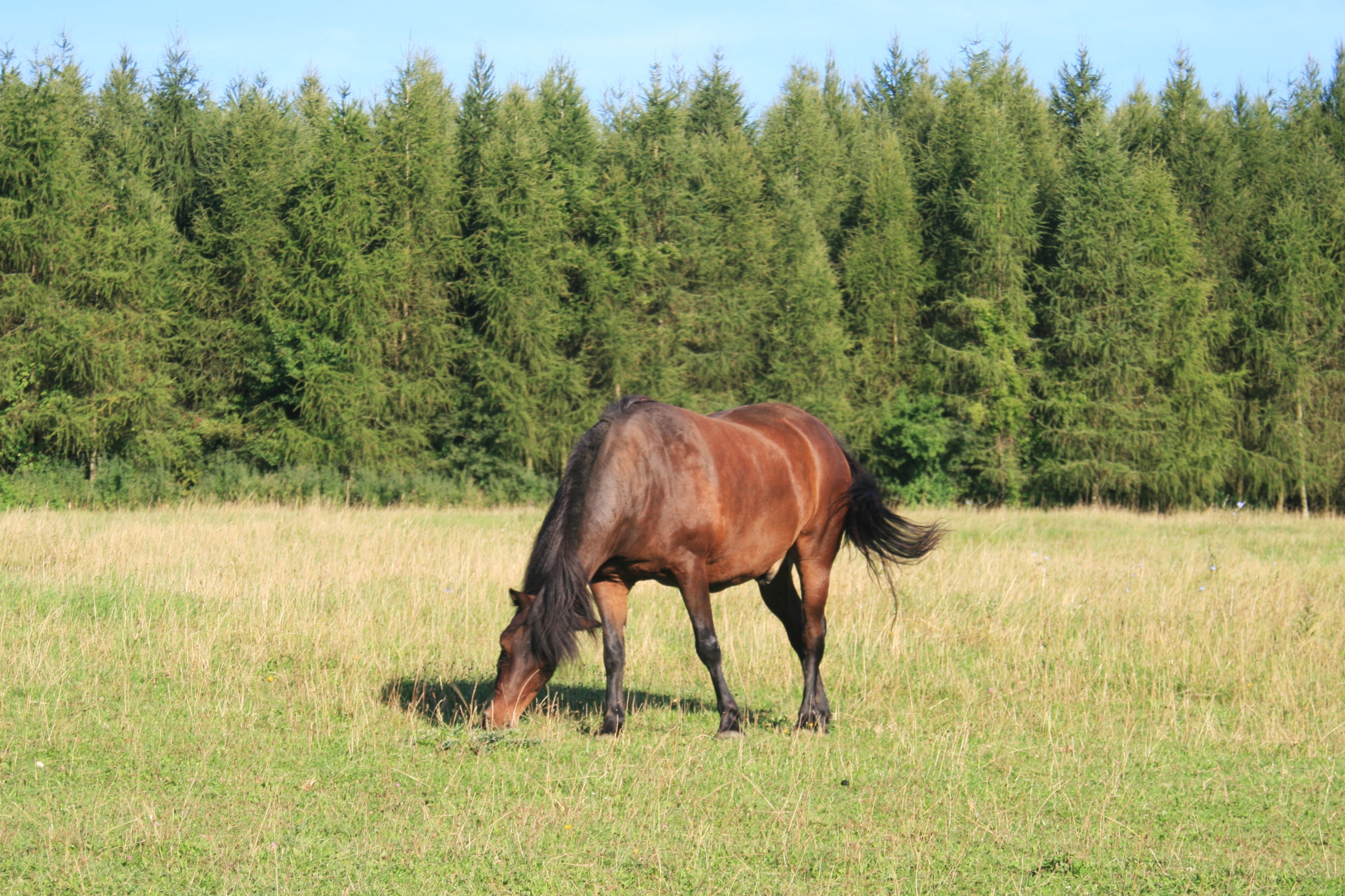 20111027000000-17.jpg