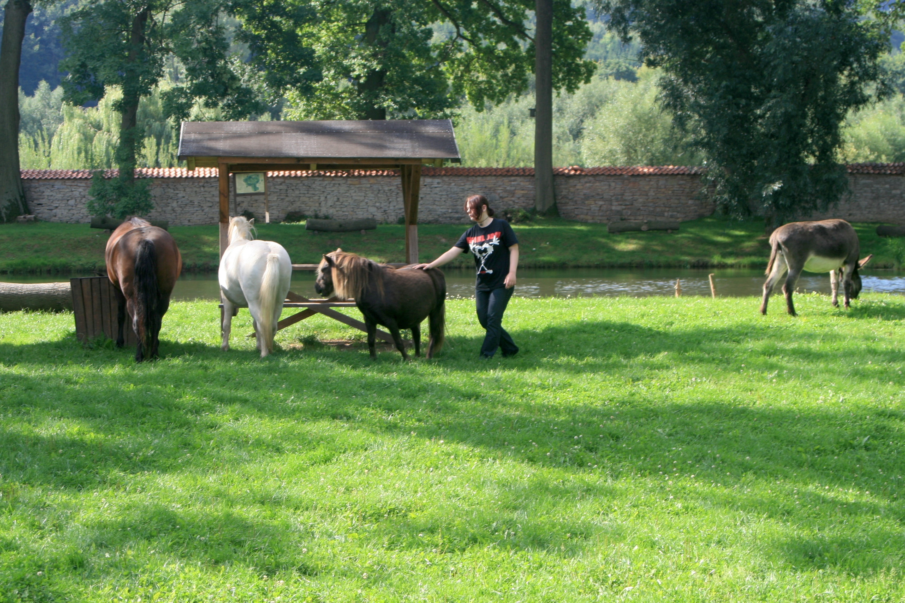20111027000000-9.jpg