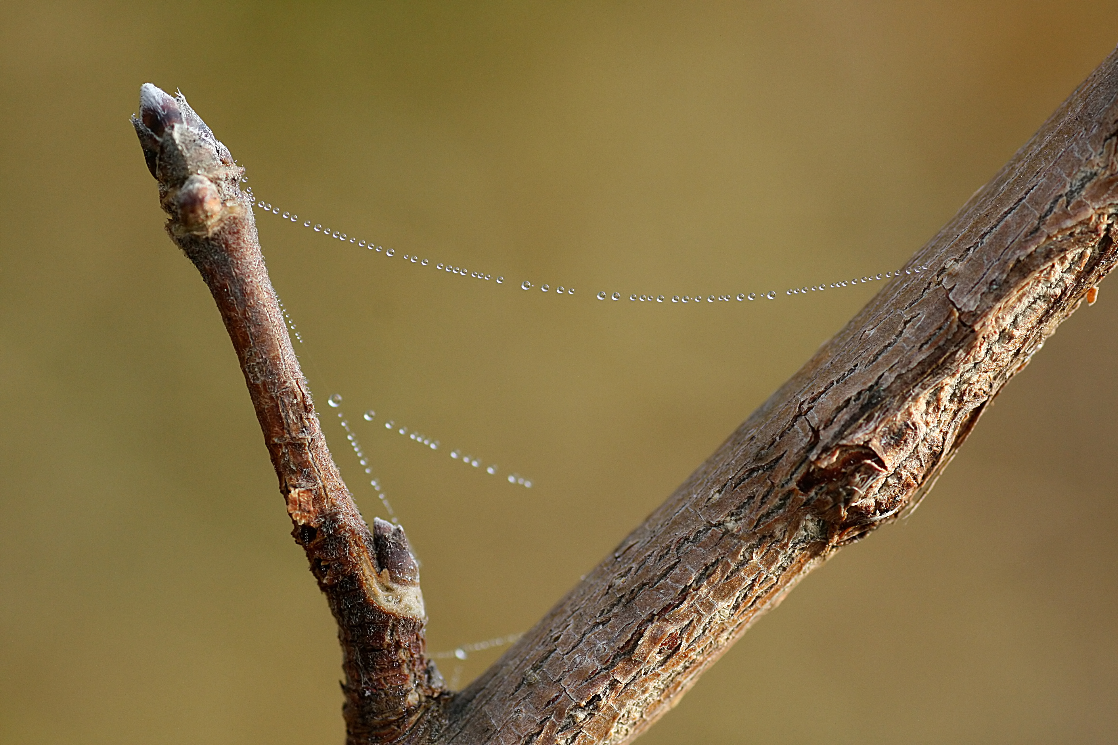 20111028095422.jpg
