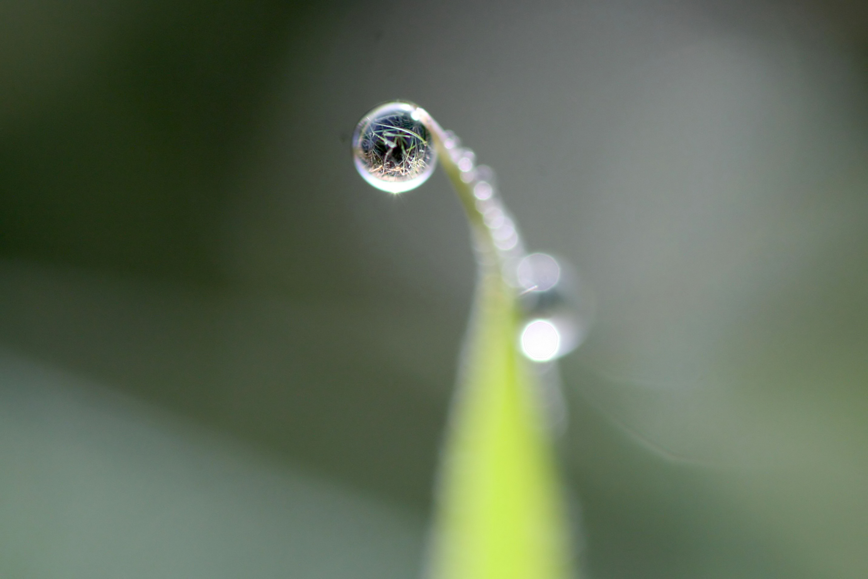 20111028100420.jpg