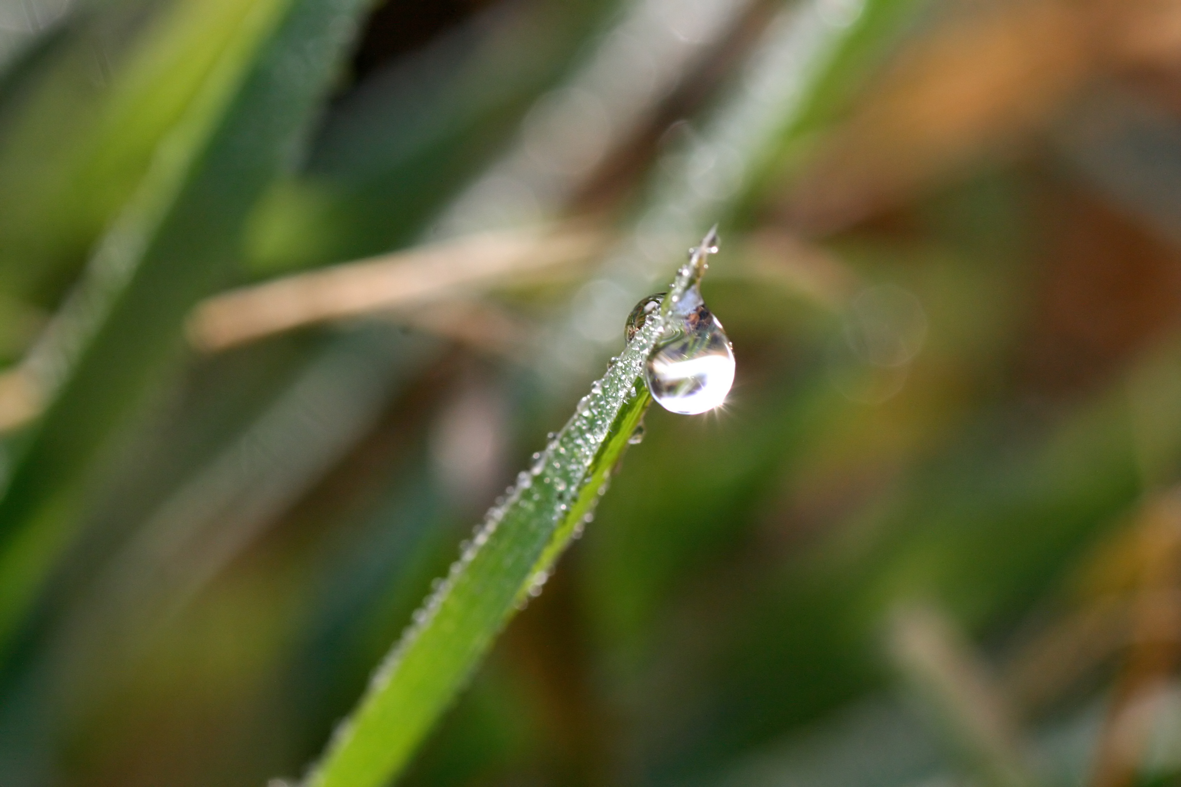 20111028100550.jpg