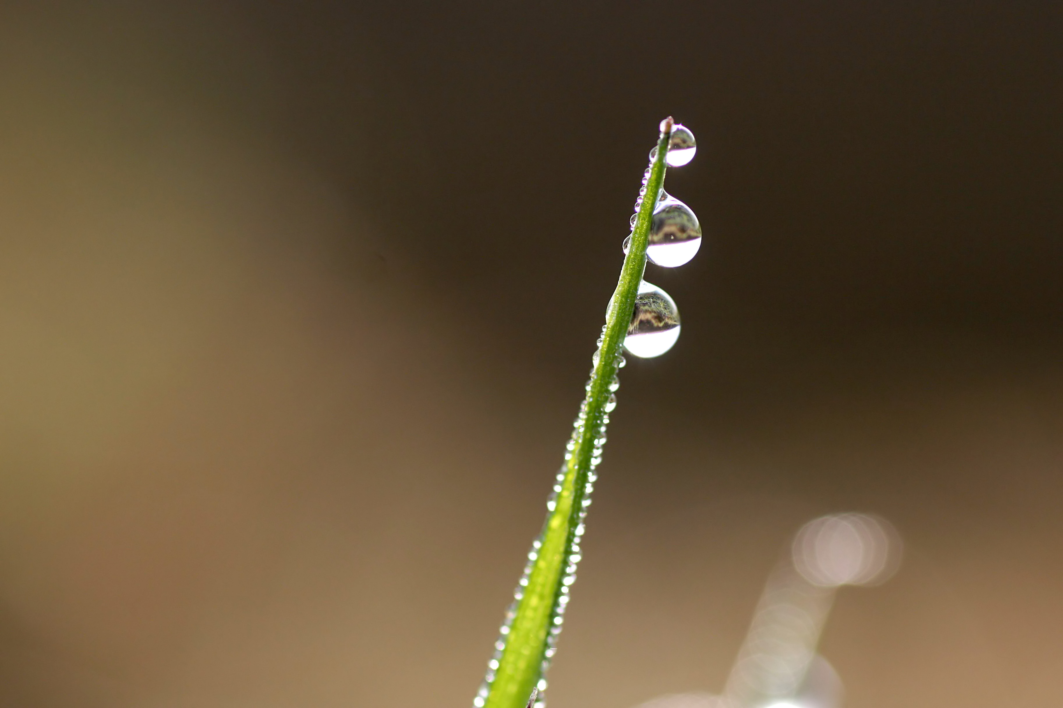 20111028100943.jpg