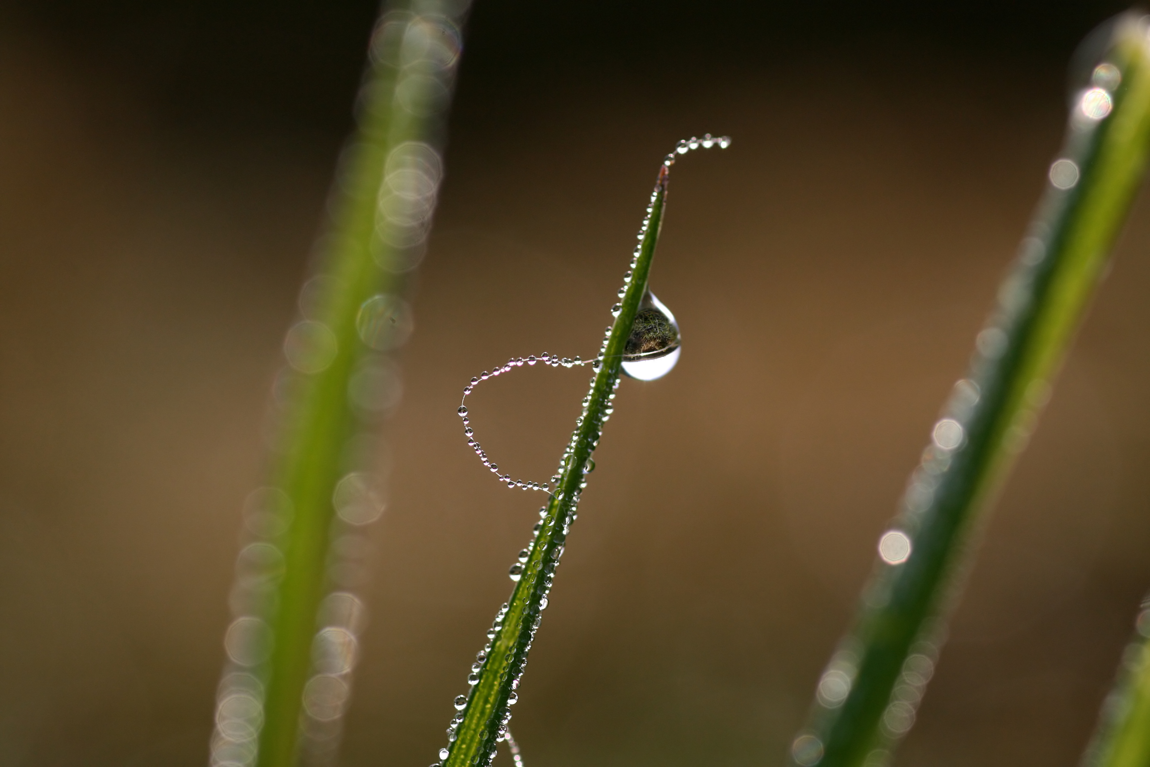 20111028101011.jpg