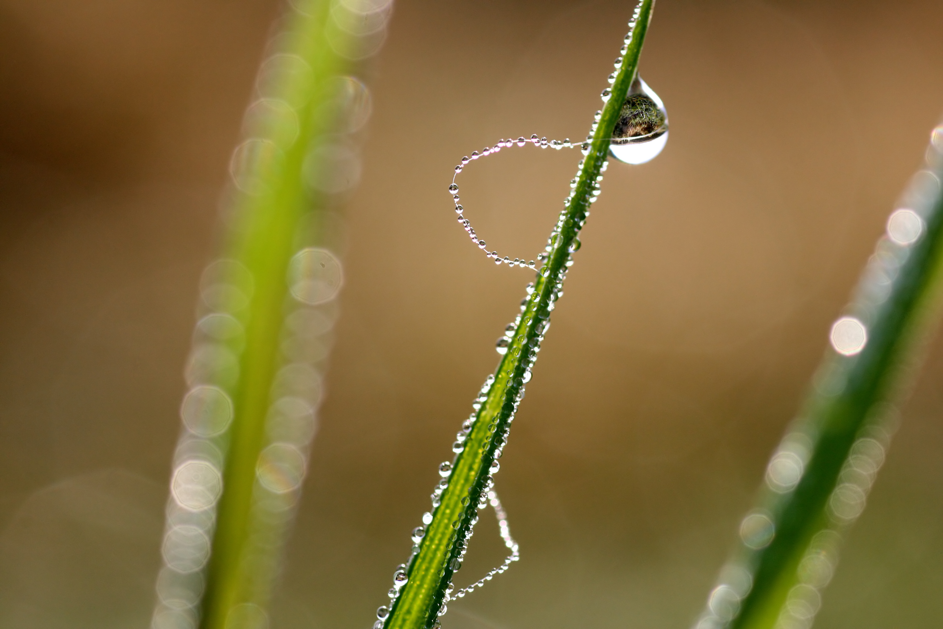 20111028101043.jpg