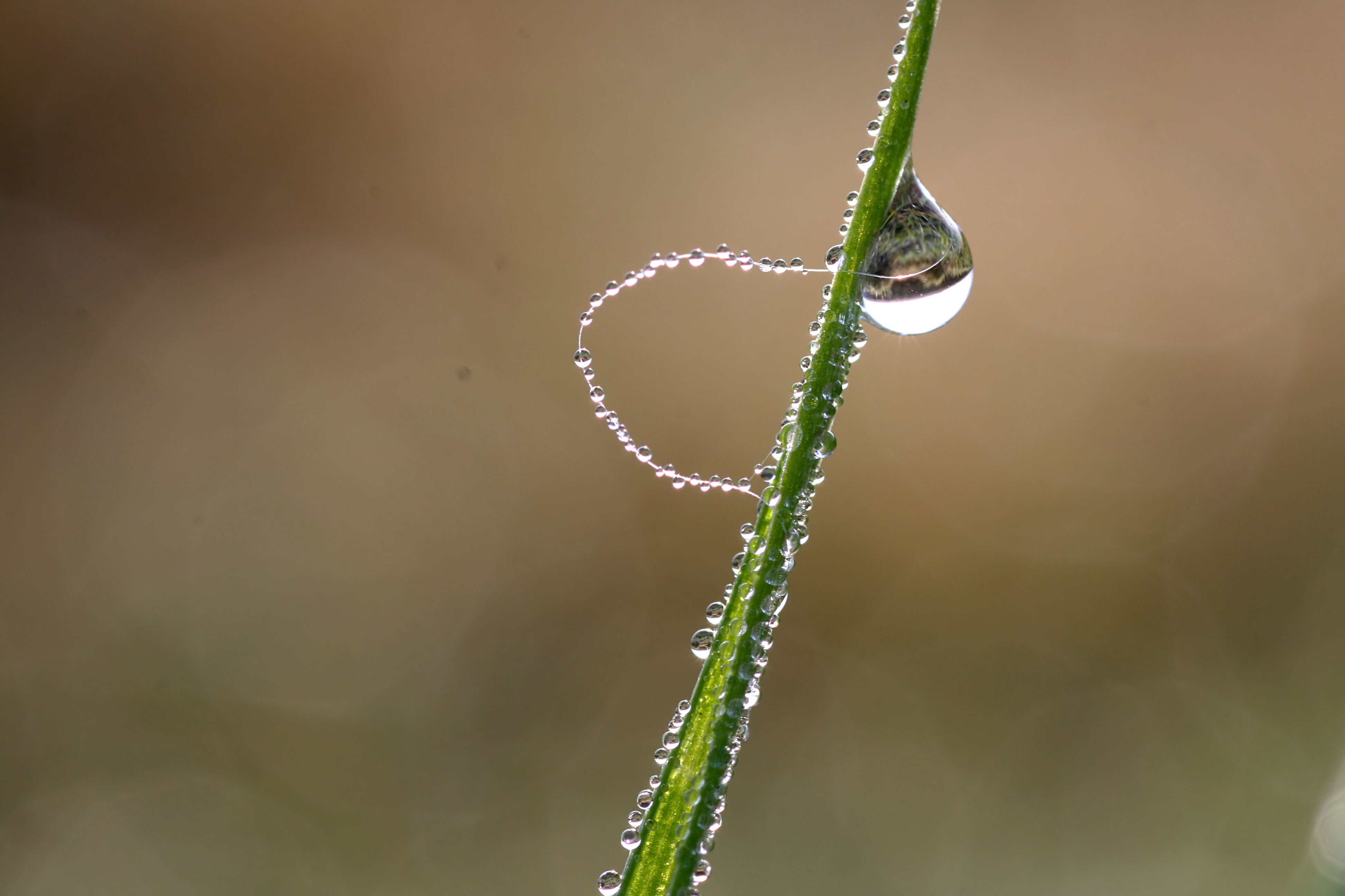 20111028101253.jpg
